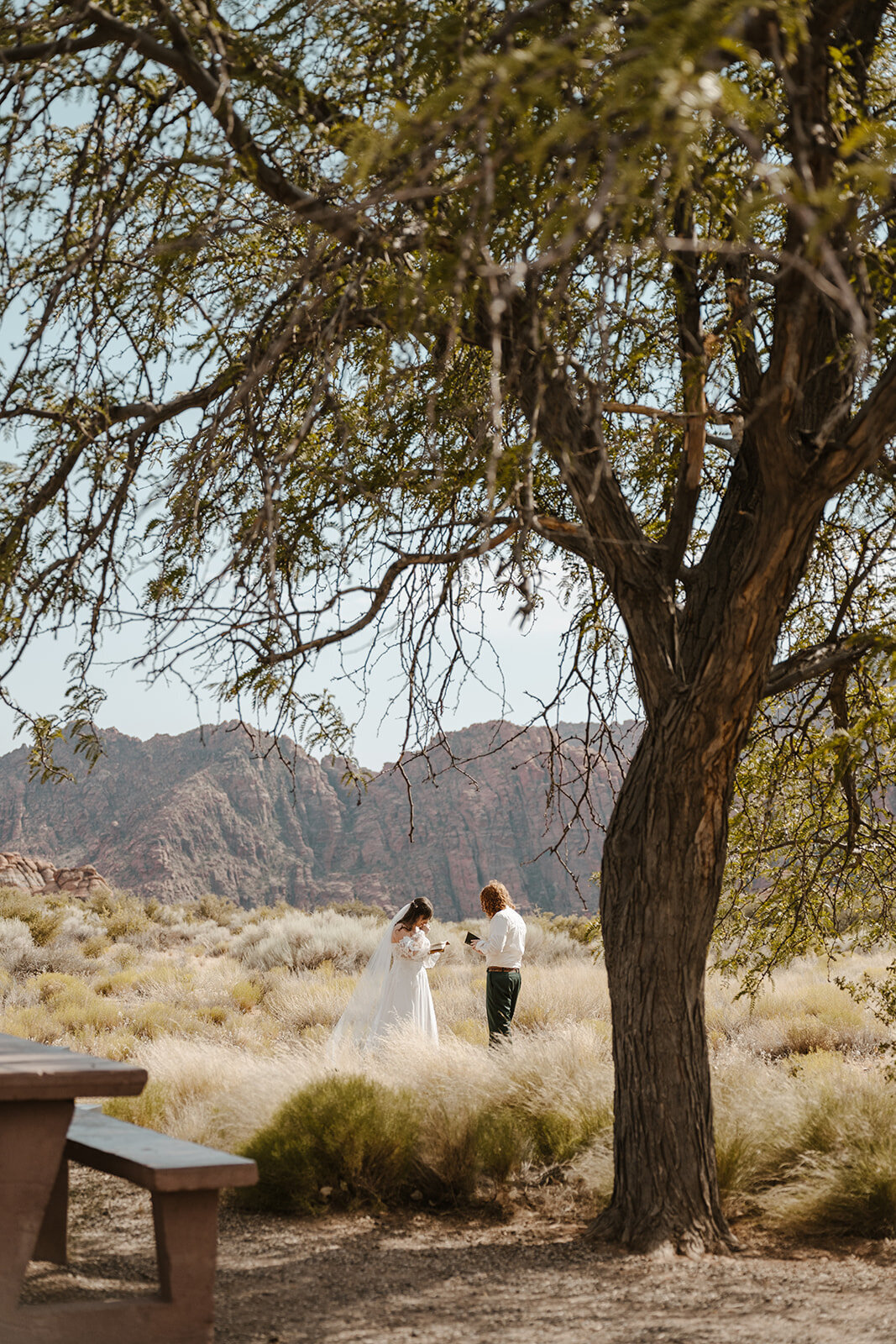 curiouscourtneysphotography255