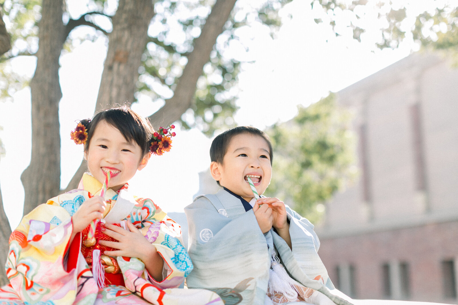Brother and sister in traditional kimono rental enjoying candy during Shichi-Go-San in Little Tokyo, Los Angeles | ロサンゼルス・リトルトーキョーで七五三、レンタル着物を着た兄妹がキャンディを楽しむ様子