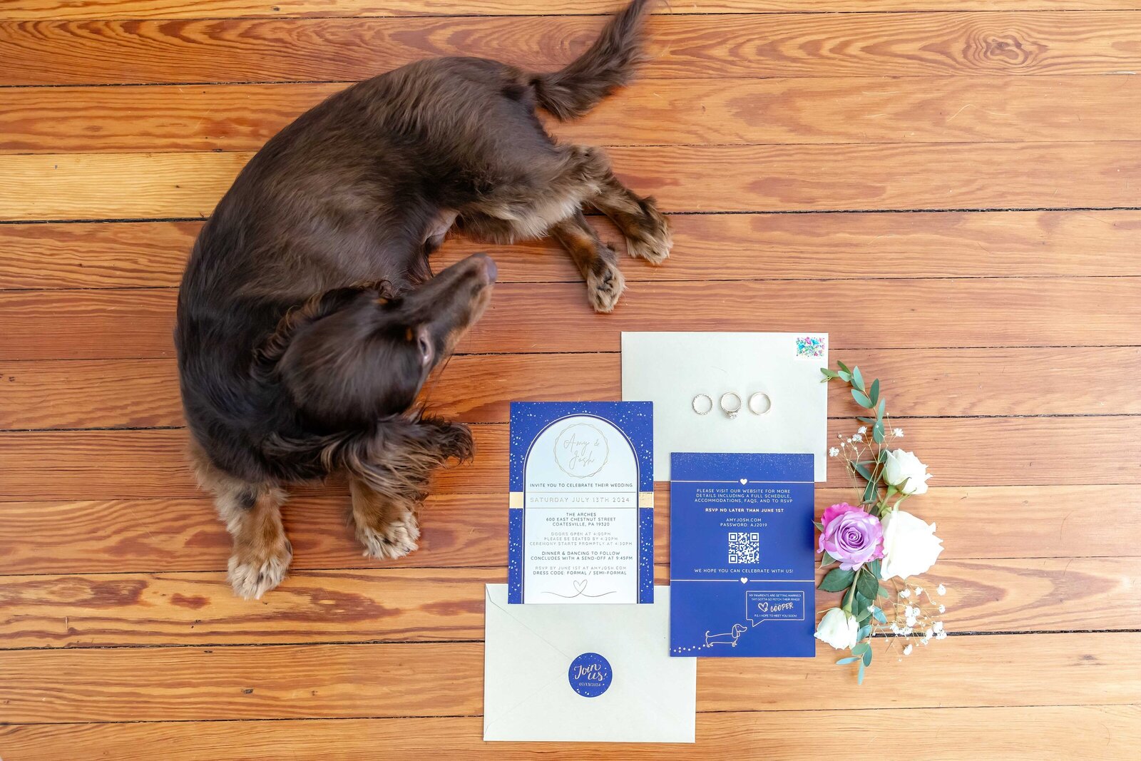 A dachshund rests next to wedding invitations, wedding rings, and a small floral arrangement, captured on wooden flooring during a Wilmington, DE wedding, highlighting pet-friendly and creative wedding details.