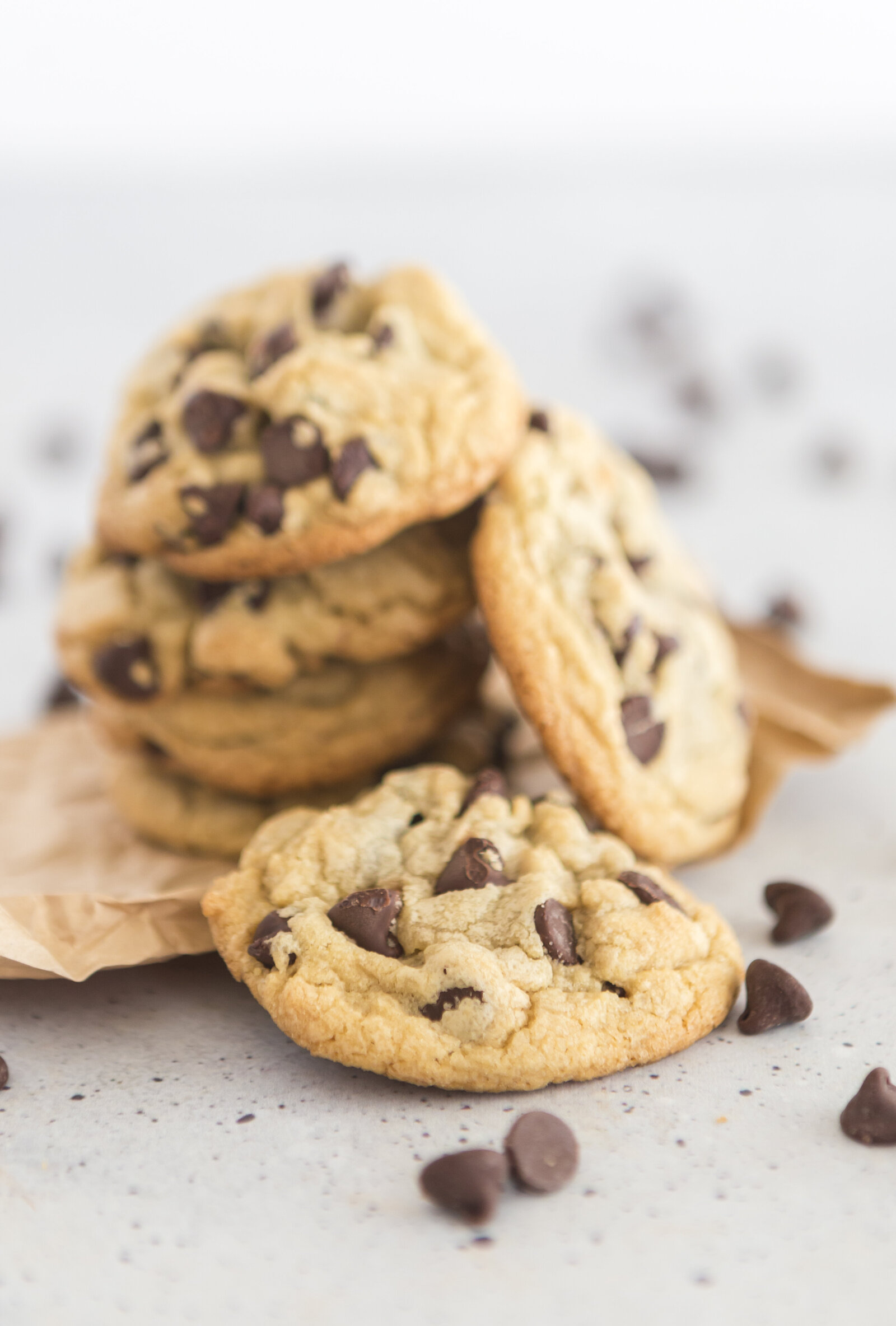 chocolate-chip-7