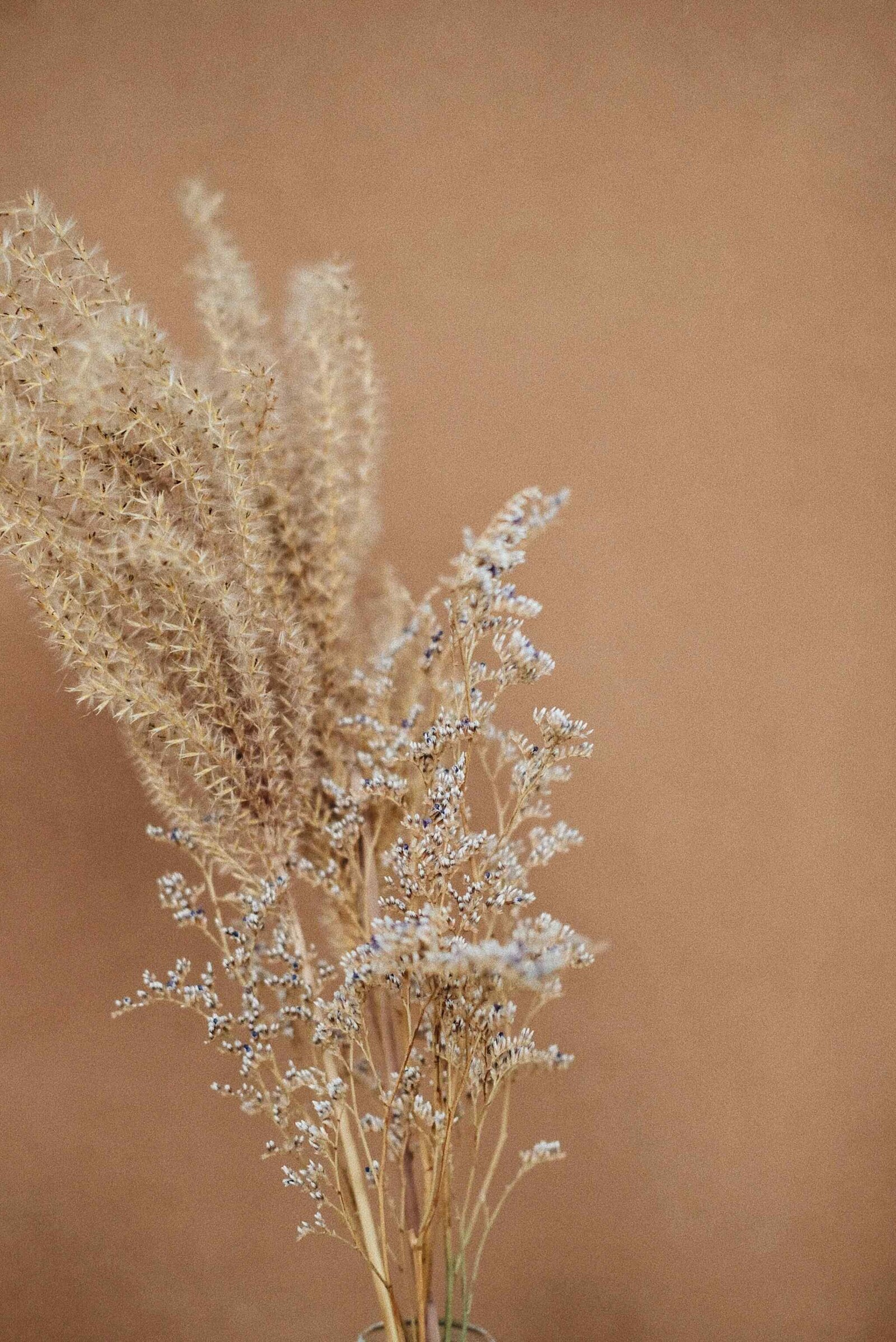 laurice-manaligod-q1uiITCnFfY-unsplash