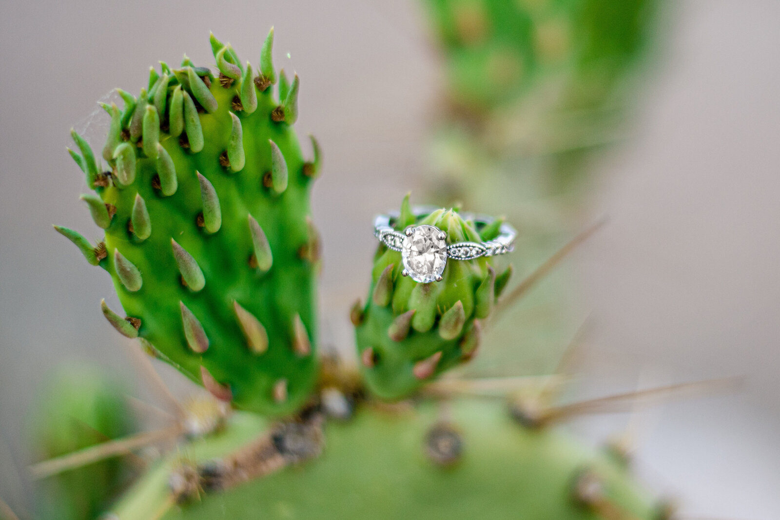 Taylor & Micah Eng-24