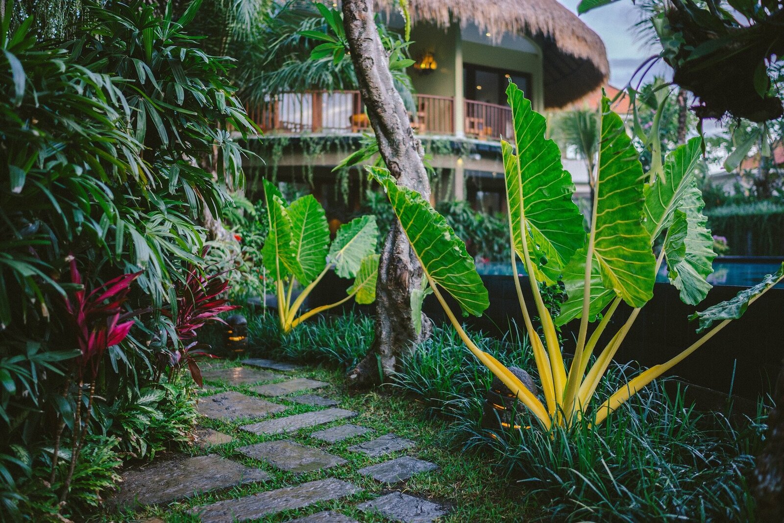 Enchanted Garden - Yoga Shala View