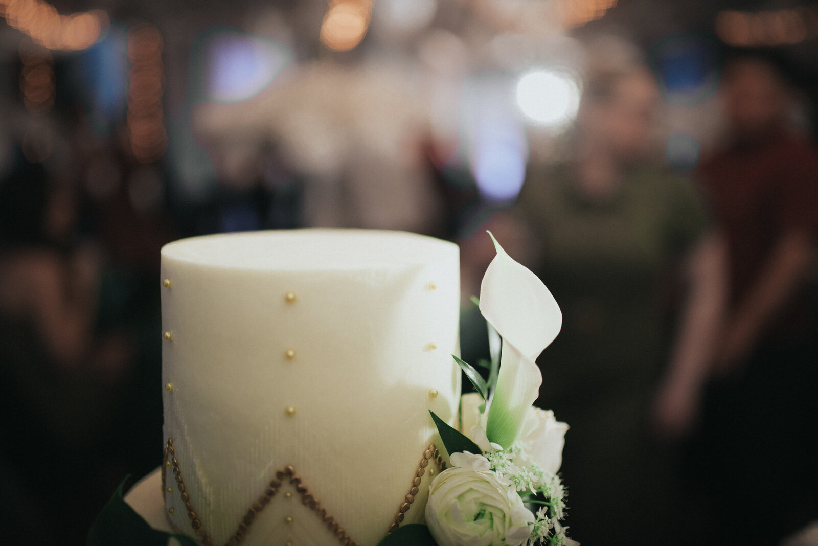 Reception-Arizona-Wedding-Photographer-Iowa_wedding_photographer-Bakyard-wedding-vintage-bride-Alaynna-Ann_Schwartz-Playlife-35