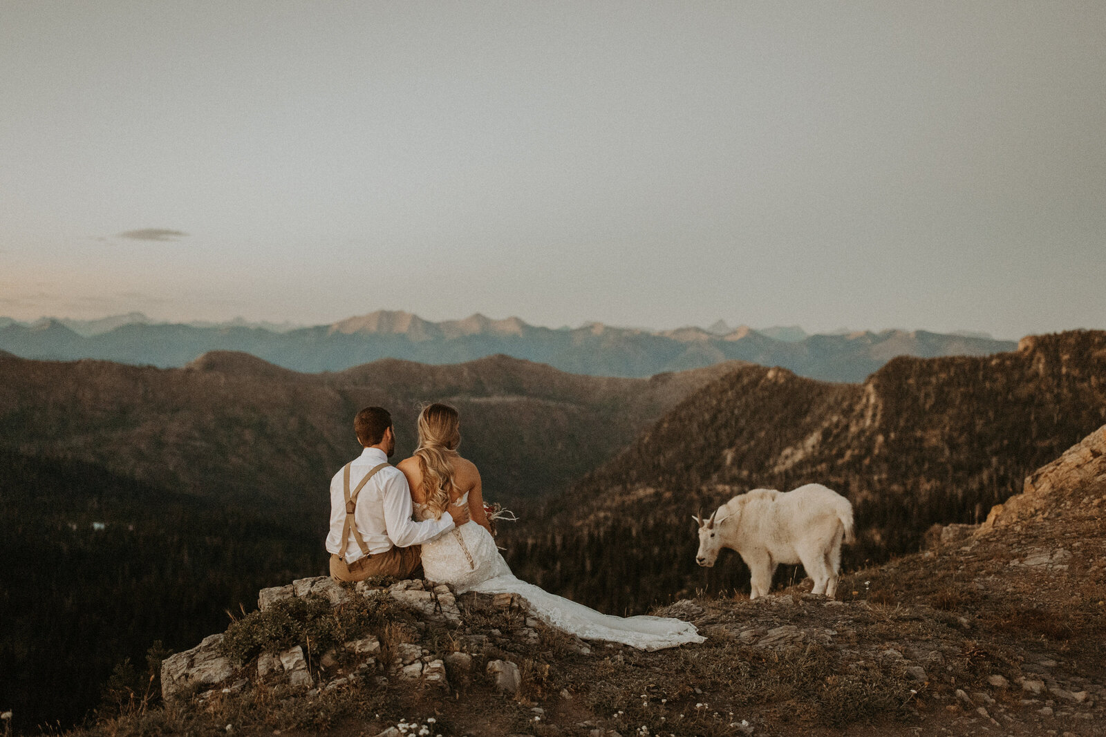 couple sitting next to goat during their adventure montana elopement