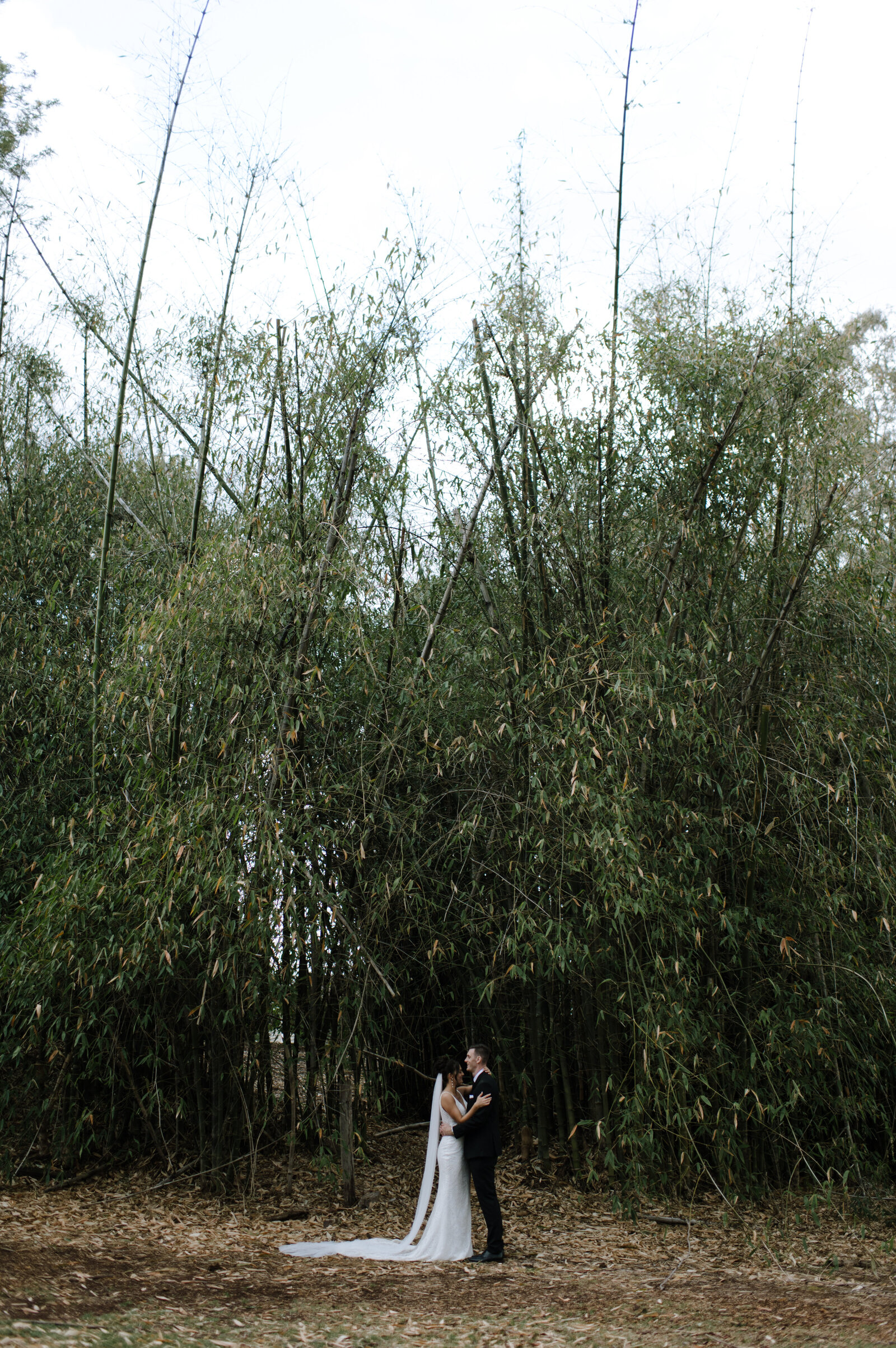 SneakPeek_0112