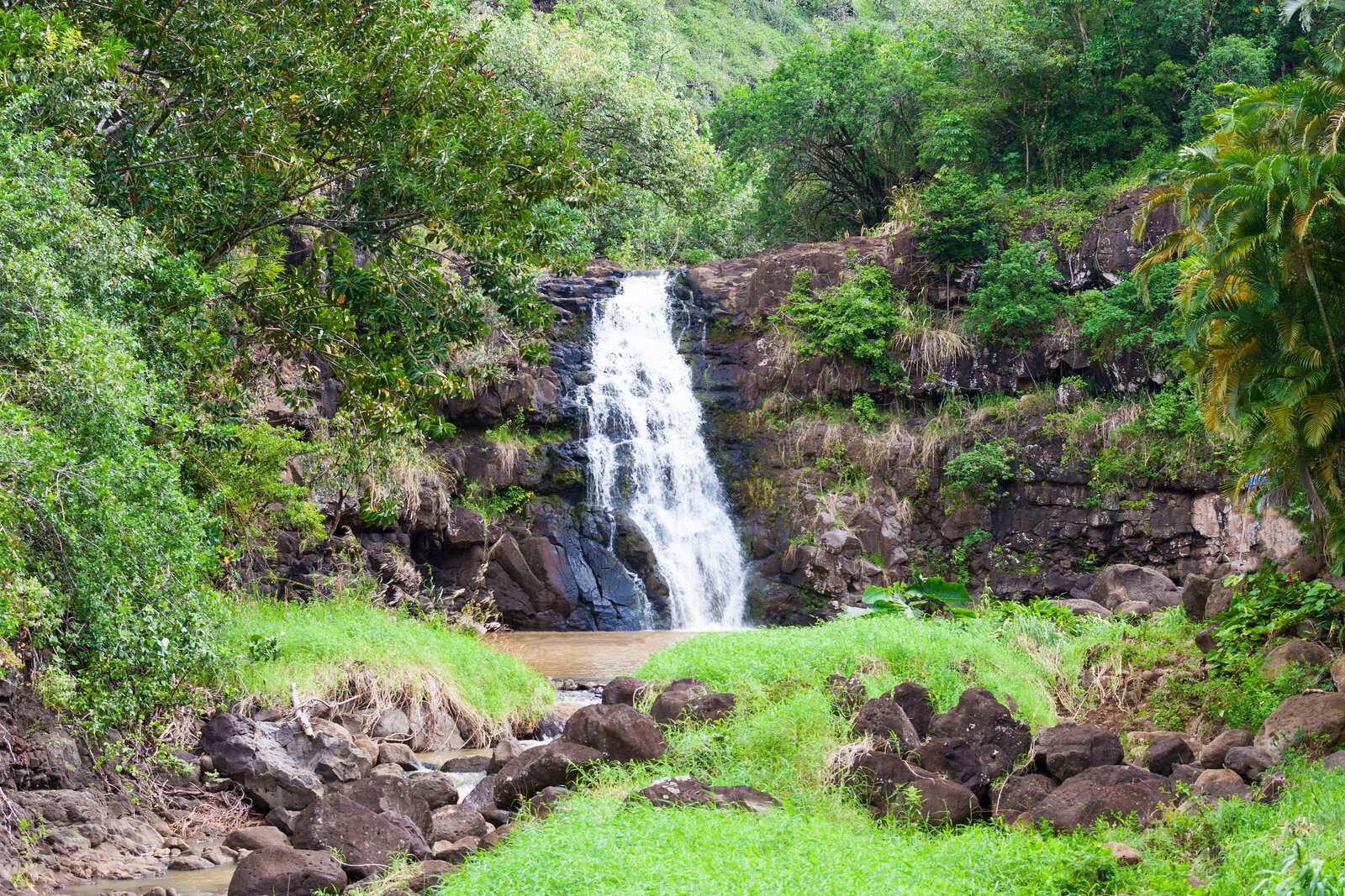 hawaii wedding at waterfall