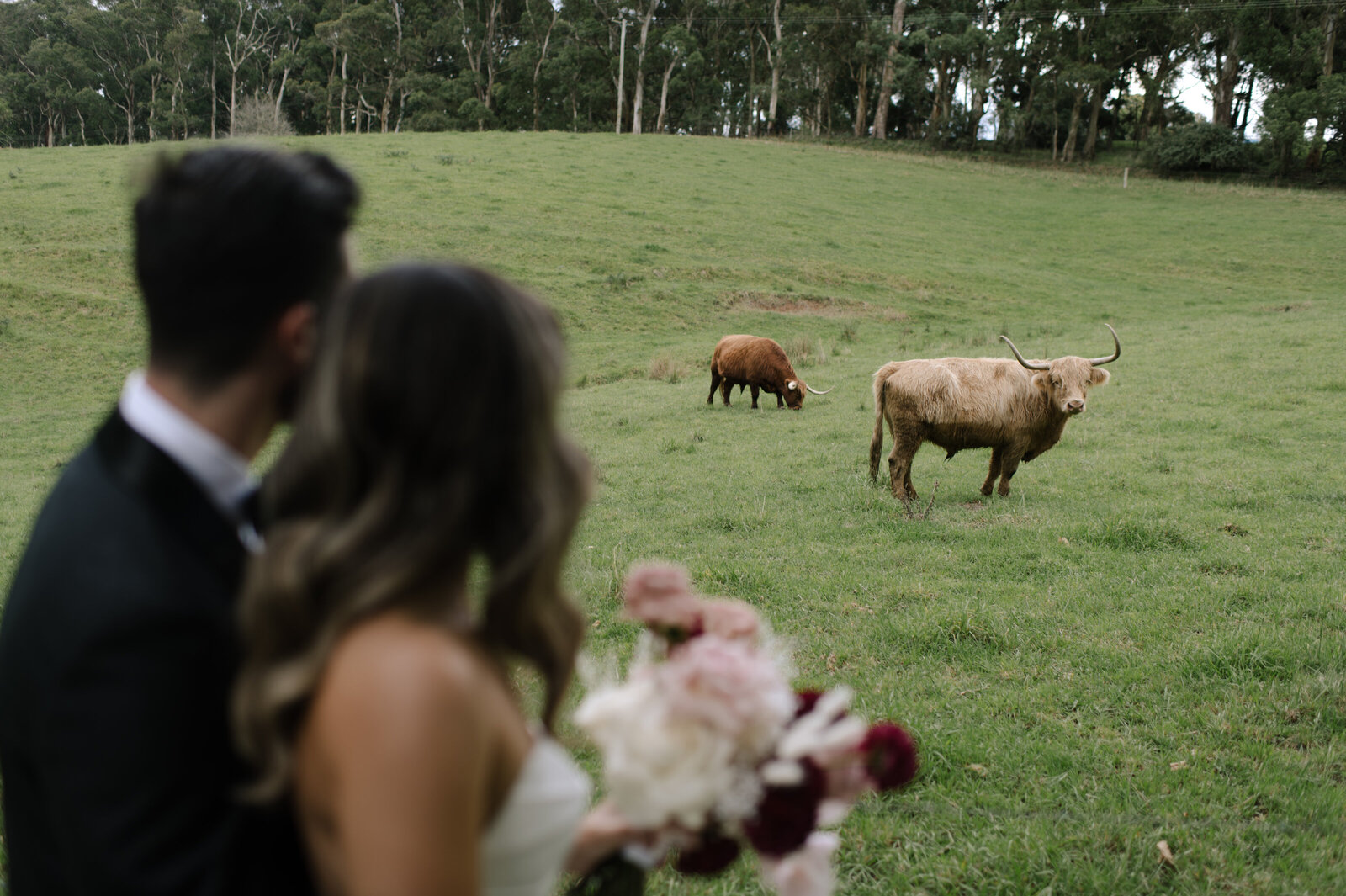 SneakPeek_0053