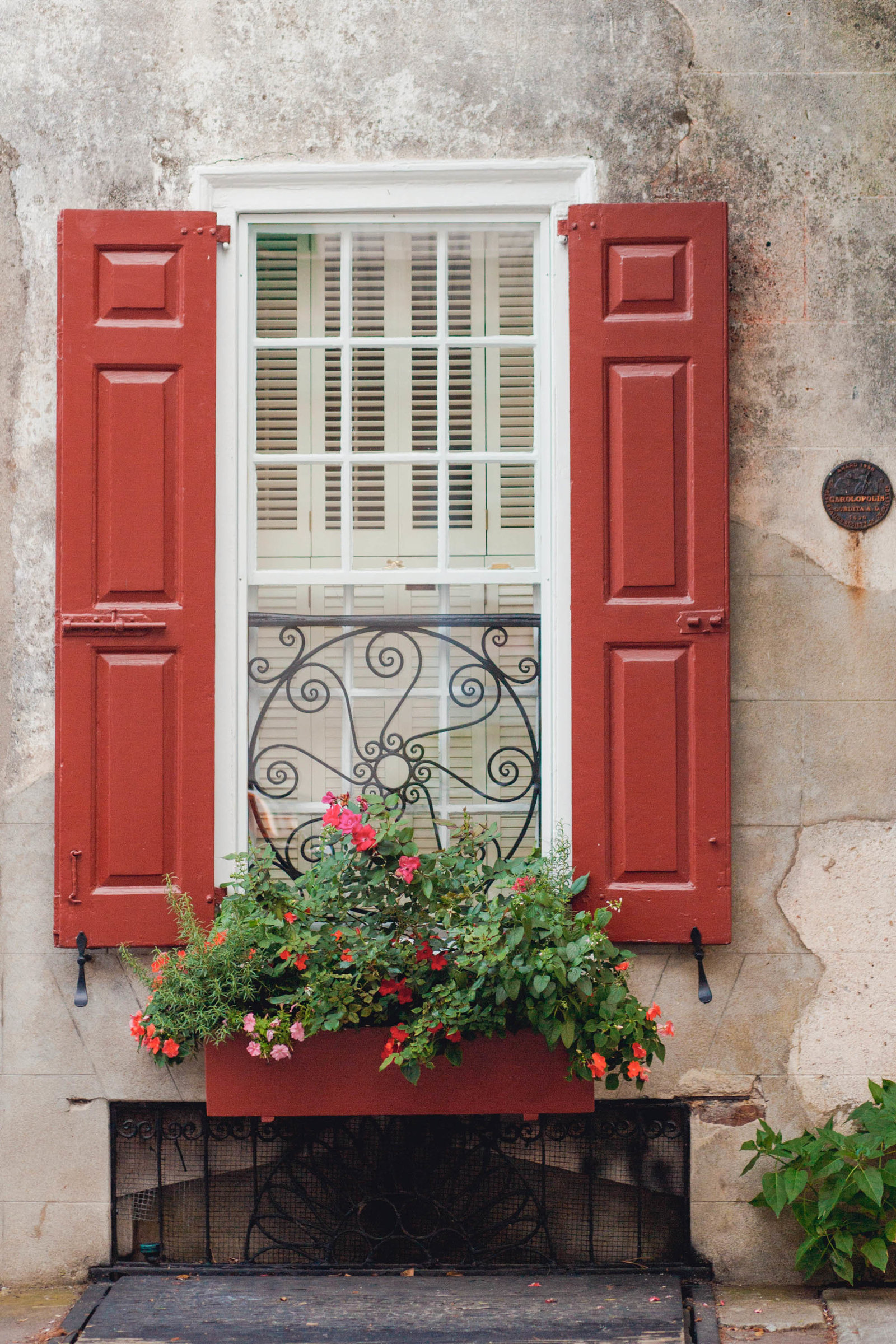 french-quarter-window-flower-charleston-sc-kate-timbers-photography-1016