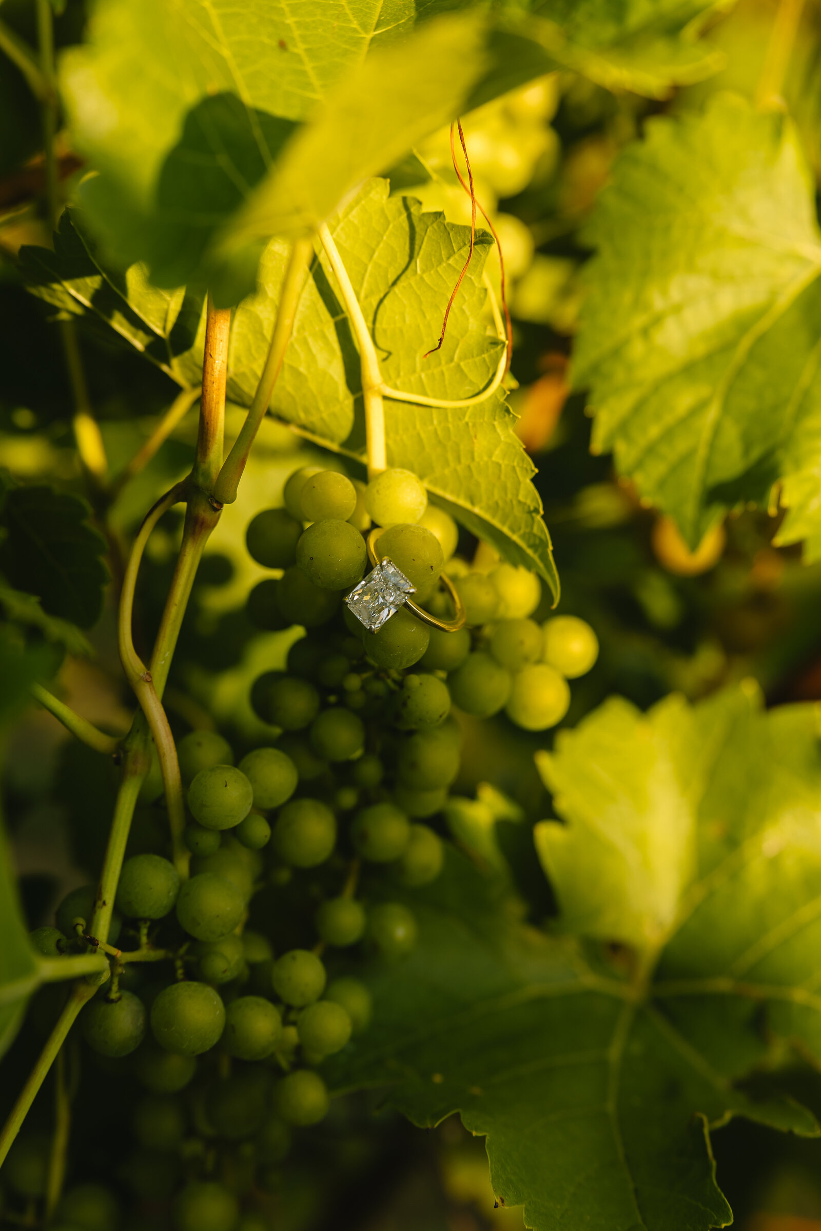 Alex-McCrary-Photography-Maria-Bryan-Engagement-Maquoketa-Caves-State-Park-Iowa-4