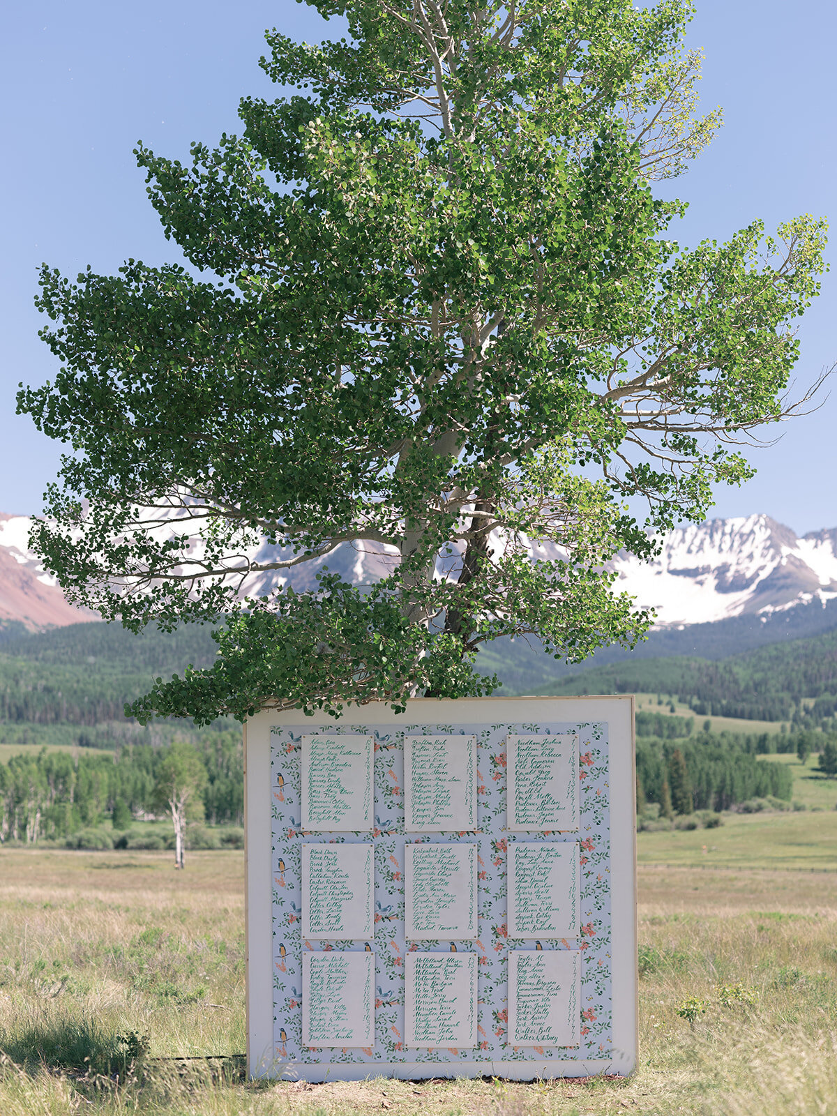 Telluride Wedding Photographer-Wedding--1633