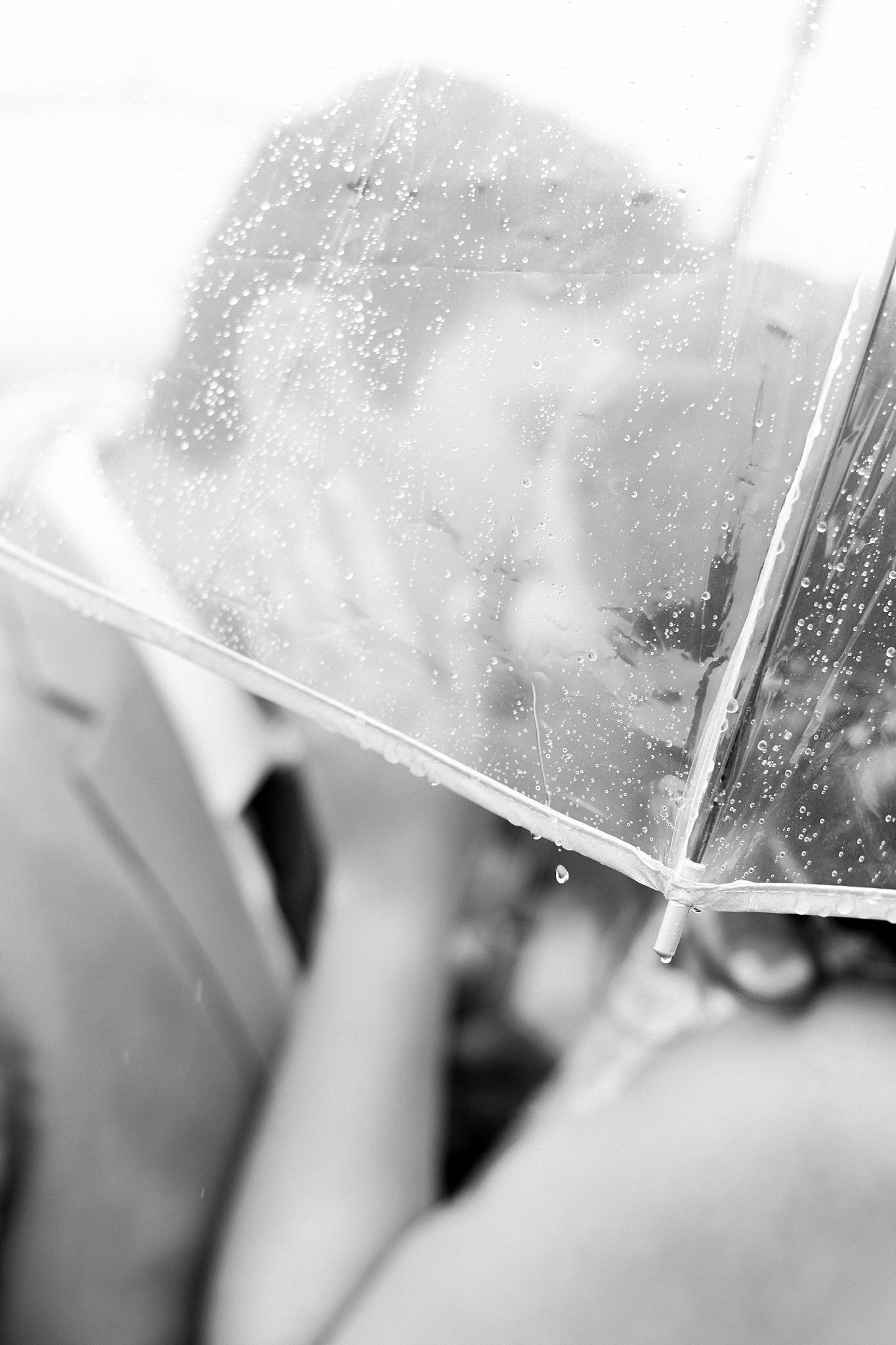 Alison Mae Photography_2836