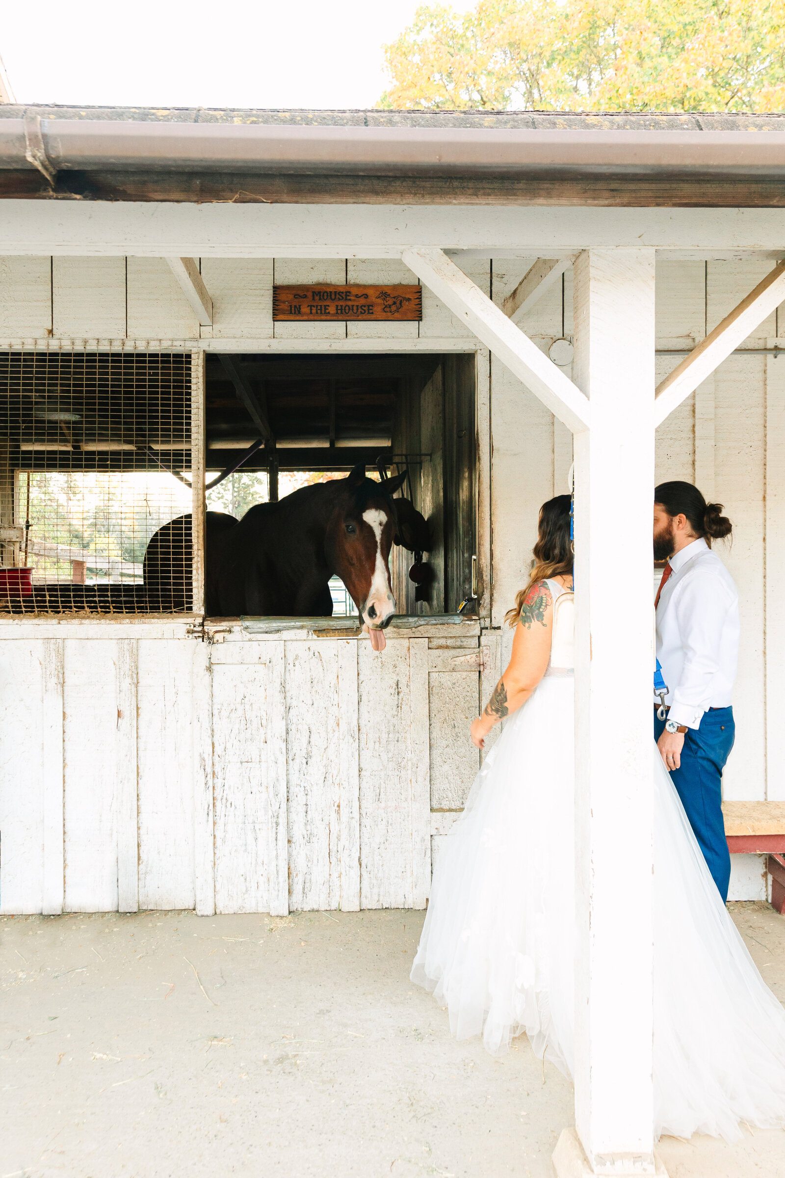 Santa Cruz Wedding 40