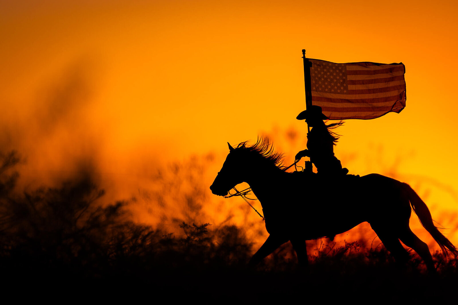 El-Paso-Texas-Horse-Photographer-073