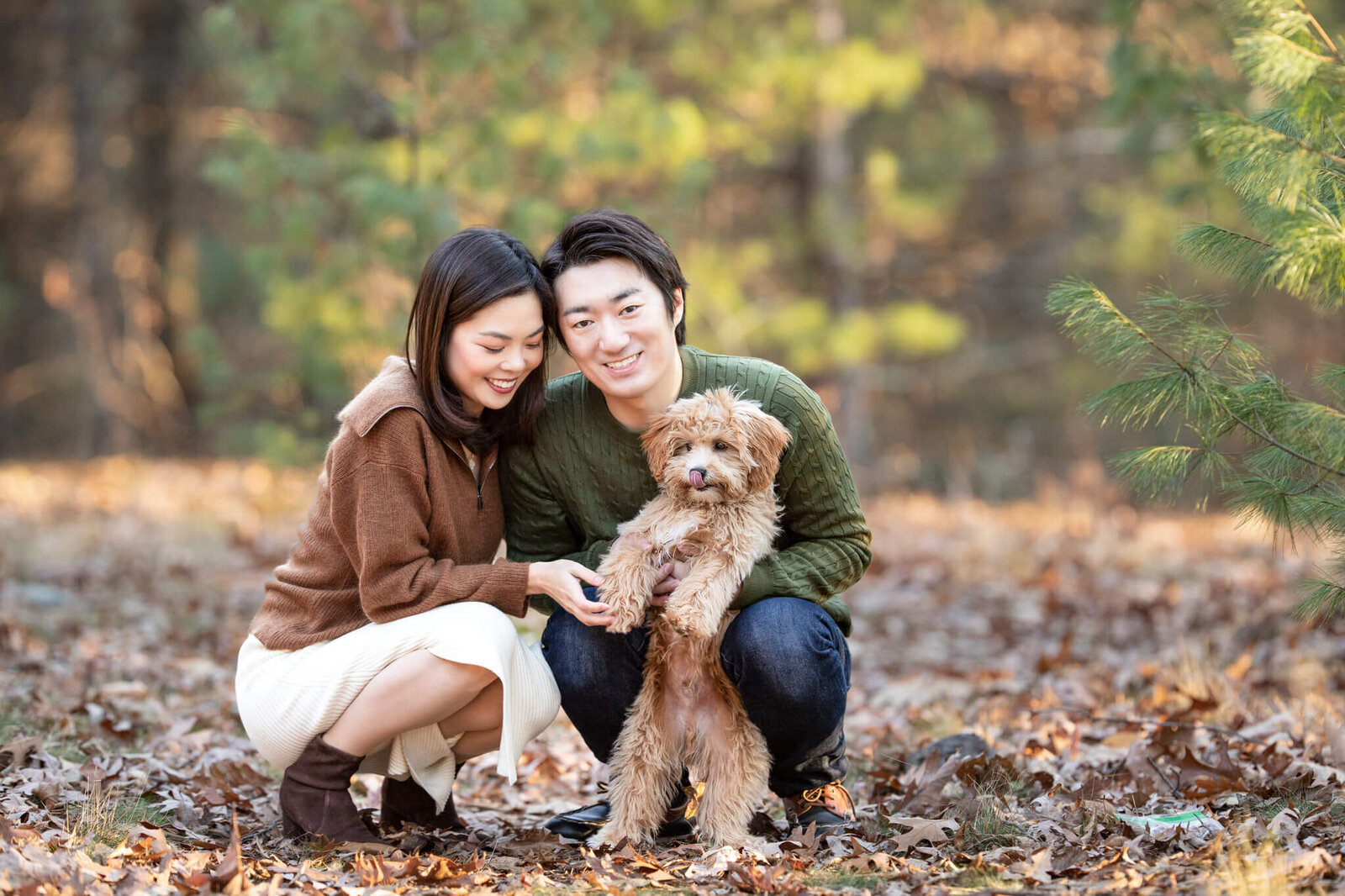 Boston couple with Golden Doodle puppy