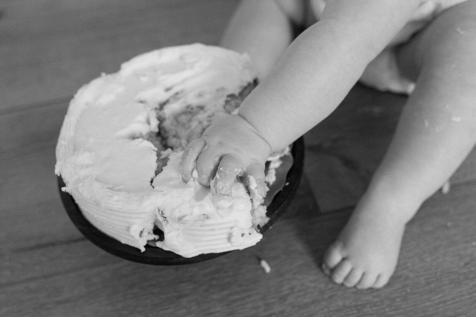 first-birthday-north-carolina-cake-photos (2)