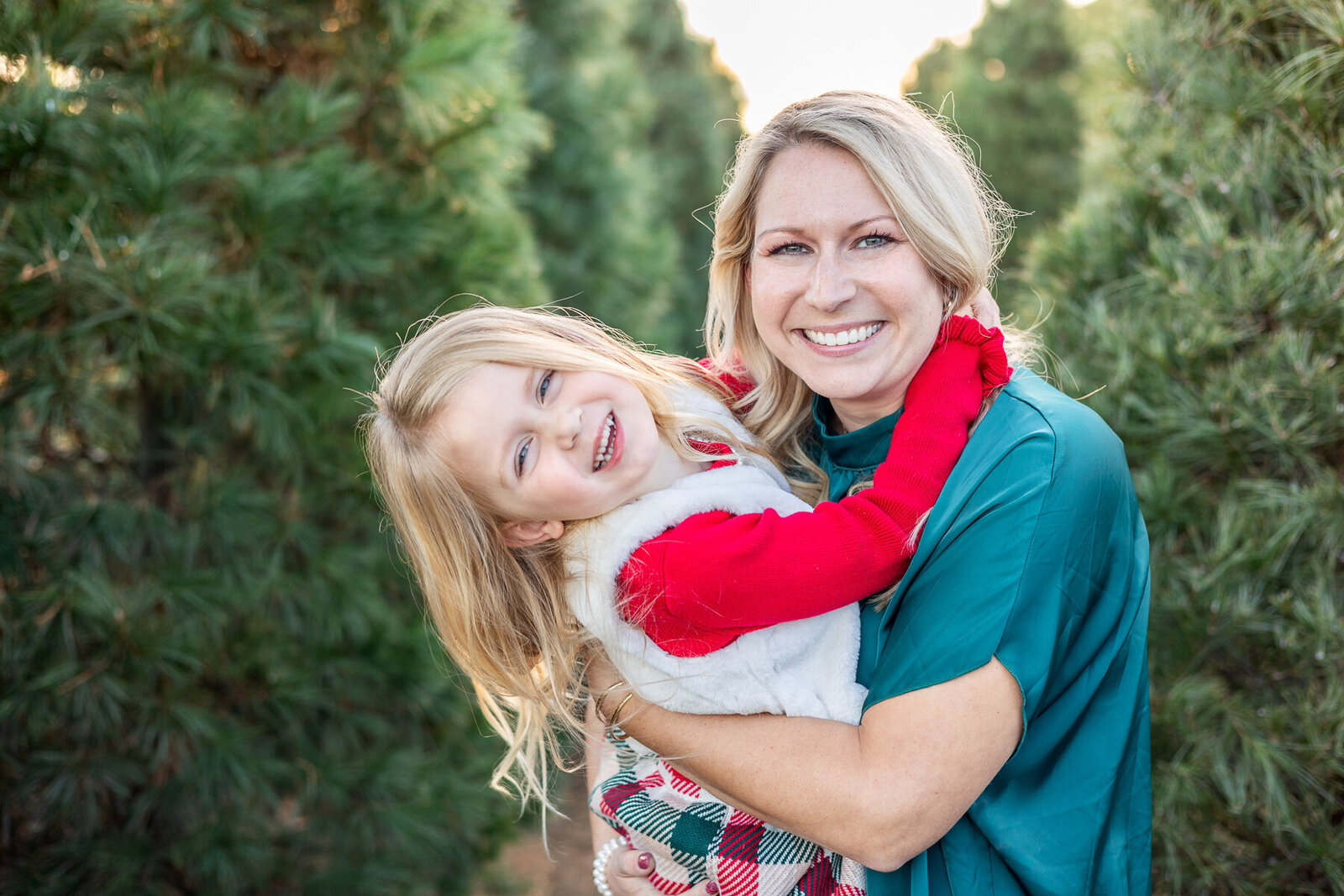 Golden-hour-tree-farm-photography-session-Lexington-KY-photographer-5