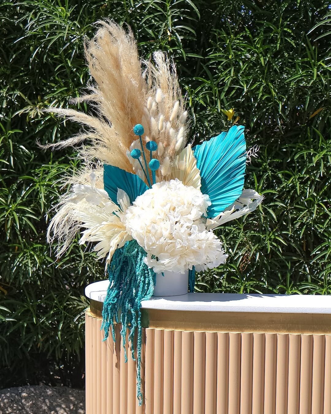 491466649_17964893861899893_2341757948244557501_n