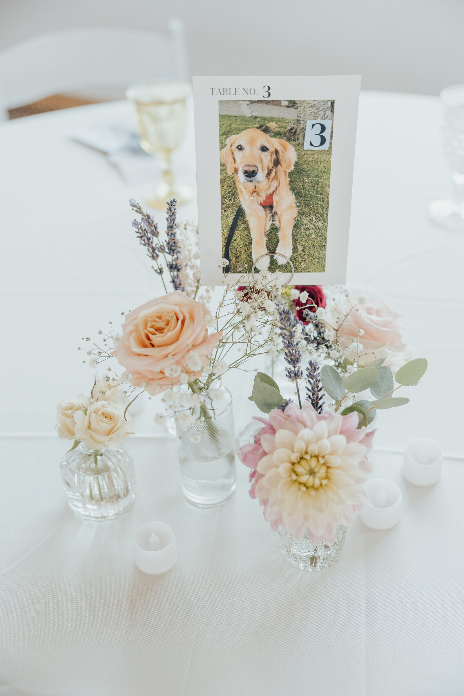 Machias-Meadows-wedding-snohomish-washington-rachel-syrisko-photography-K&T-314