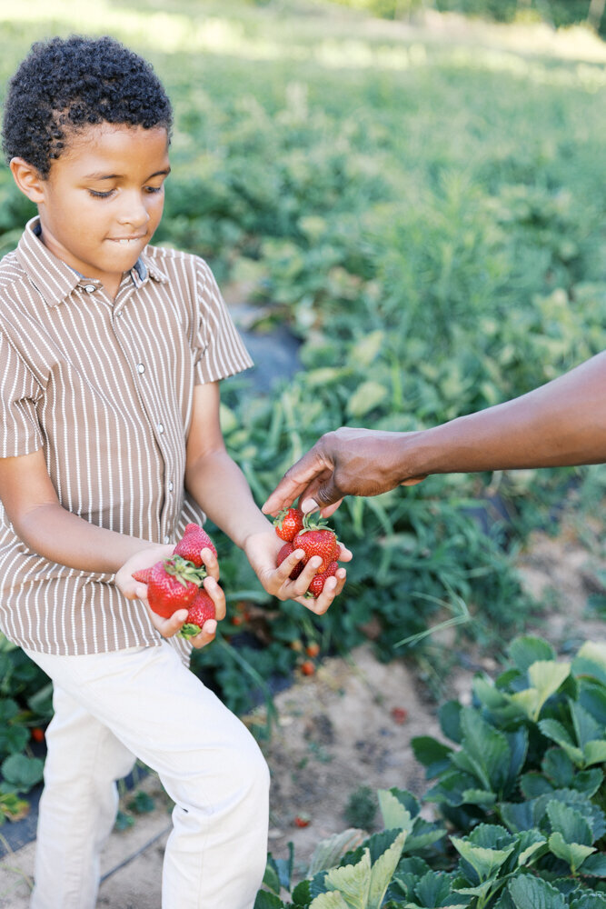 Kid_Activities_Sacramento-kelsey-krall-photography-11