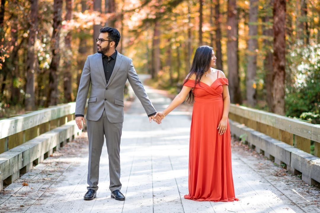 Great_Smoky_Mountains_Photos