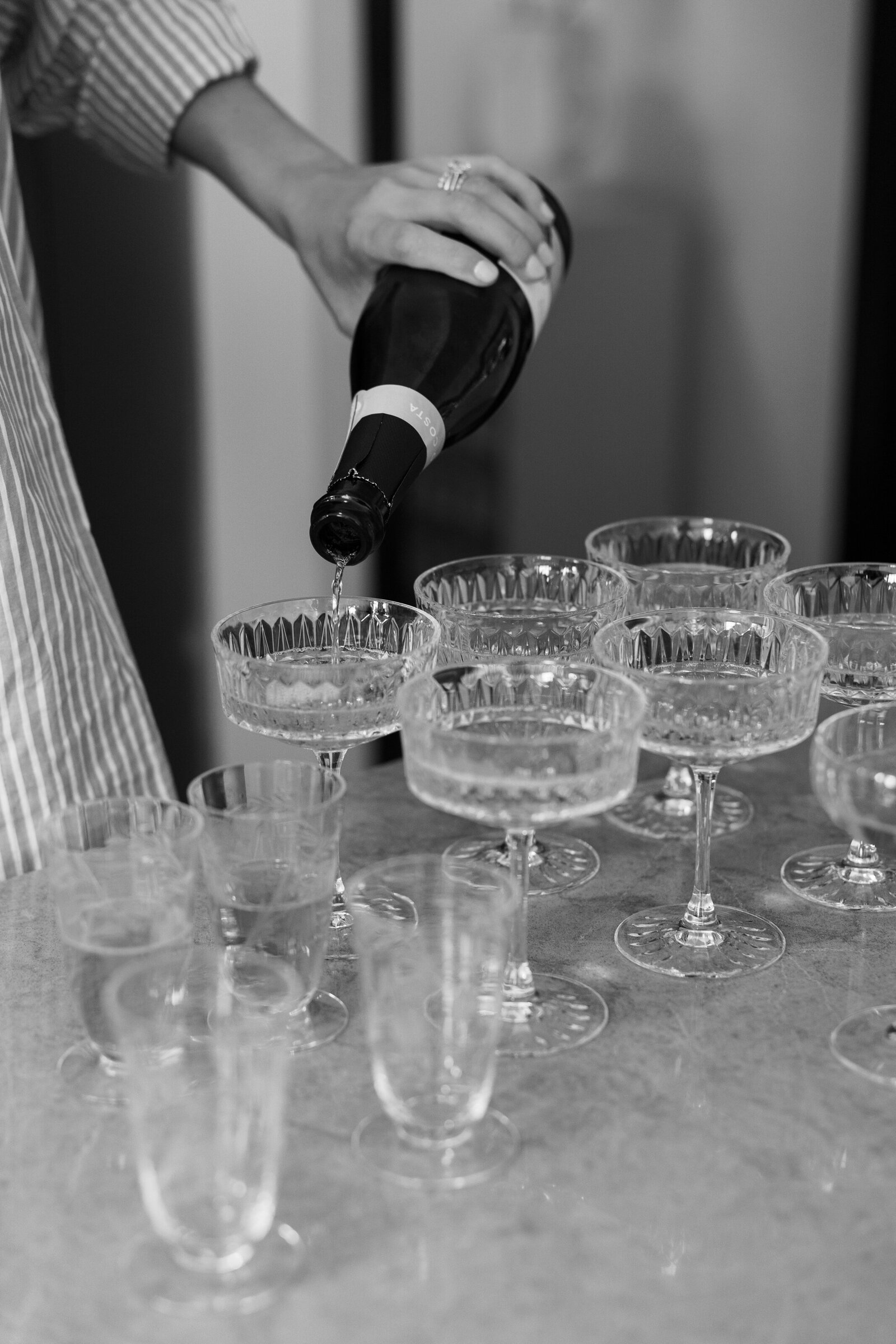 Wild Carrot St. Louis Wedding Photographer Lainie Arnold Photography-6
