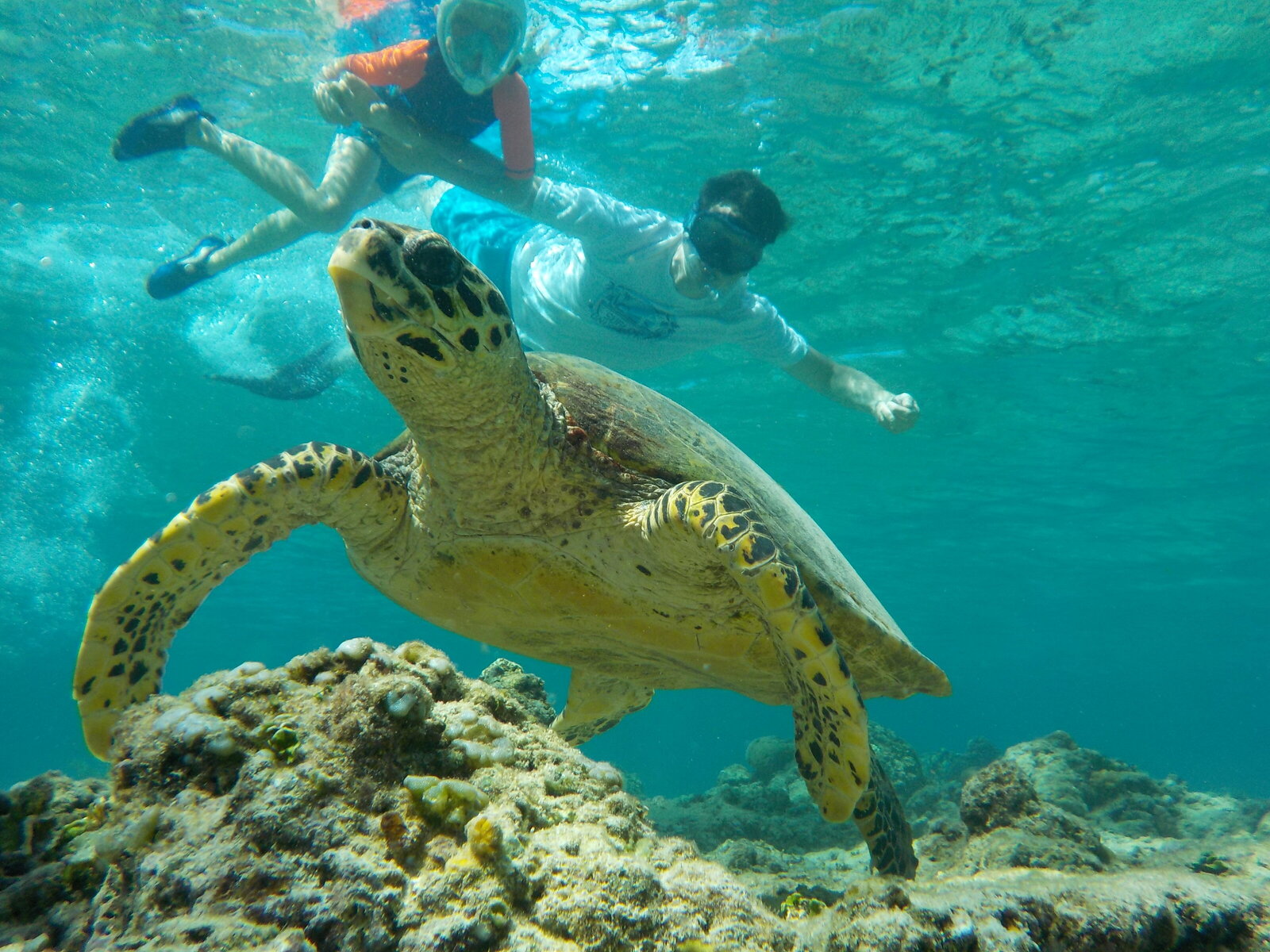 Reis_met_kinderen-Indonesie-snorkelen