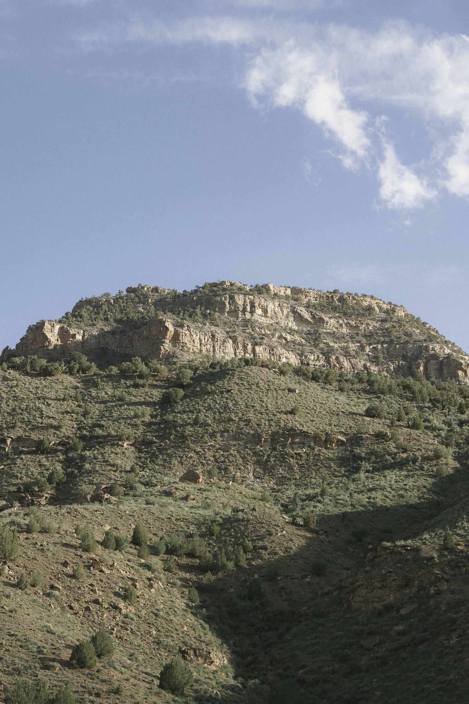 colorado film wedding photographer82