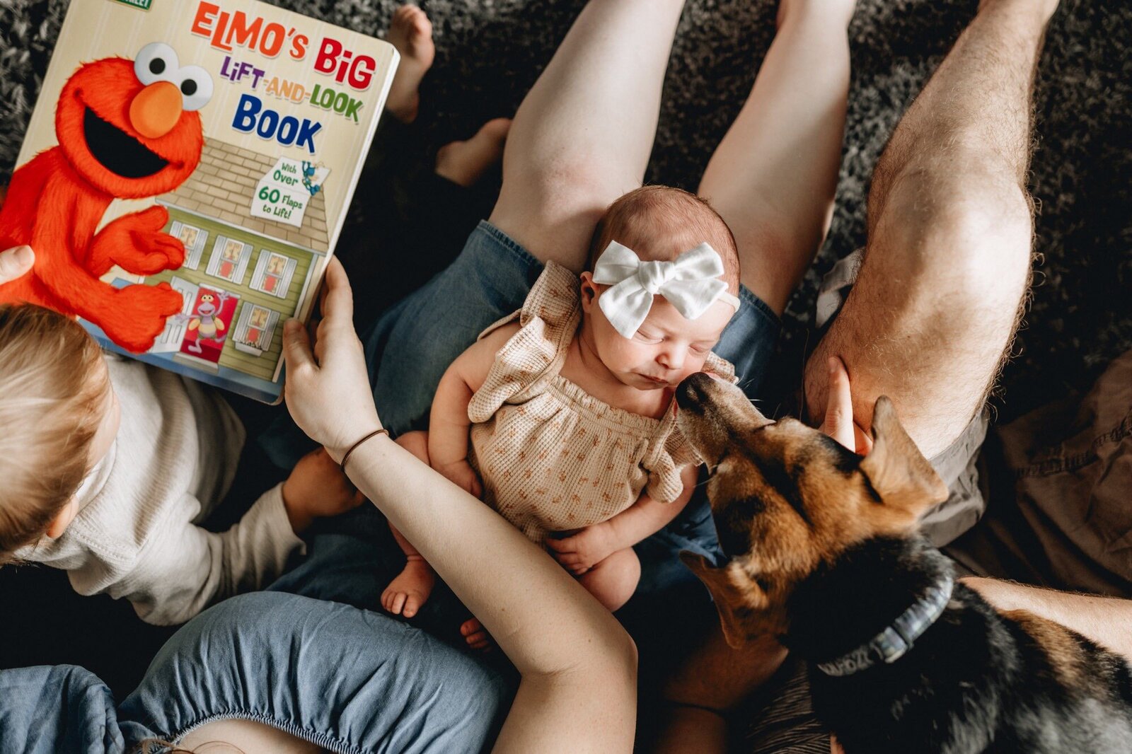 newborn-photography-albany-ny-19