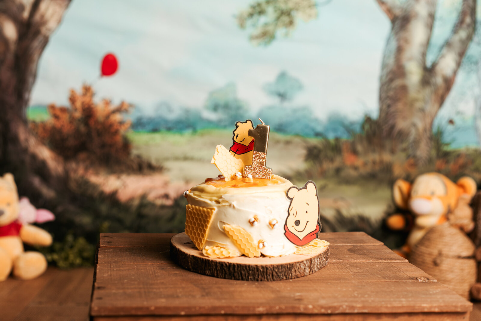 Martina Newport Photography - Michiah Risby - Emory's Winnie the Pooh cake smash-29