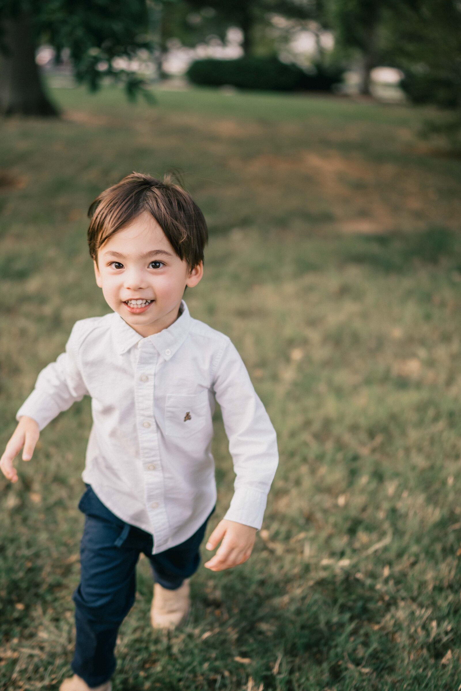 dc toddler portrait