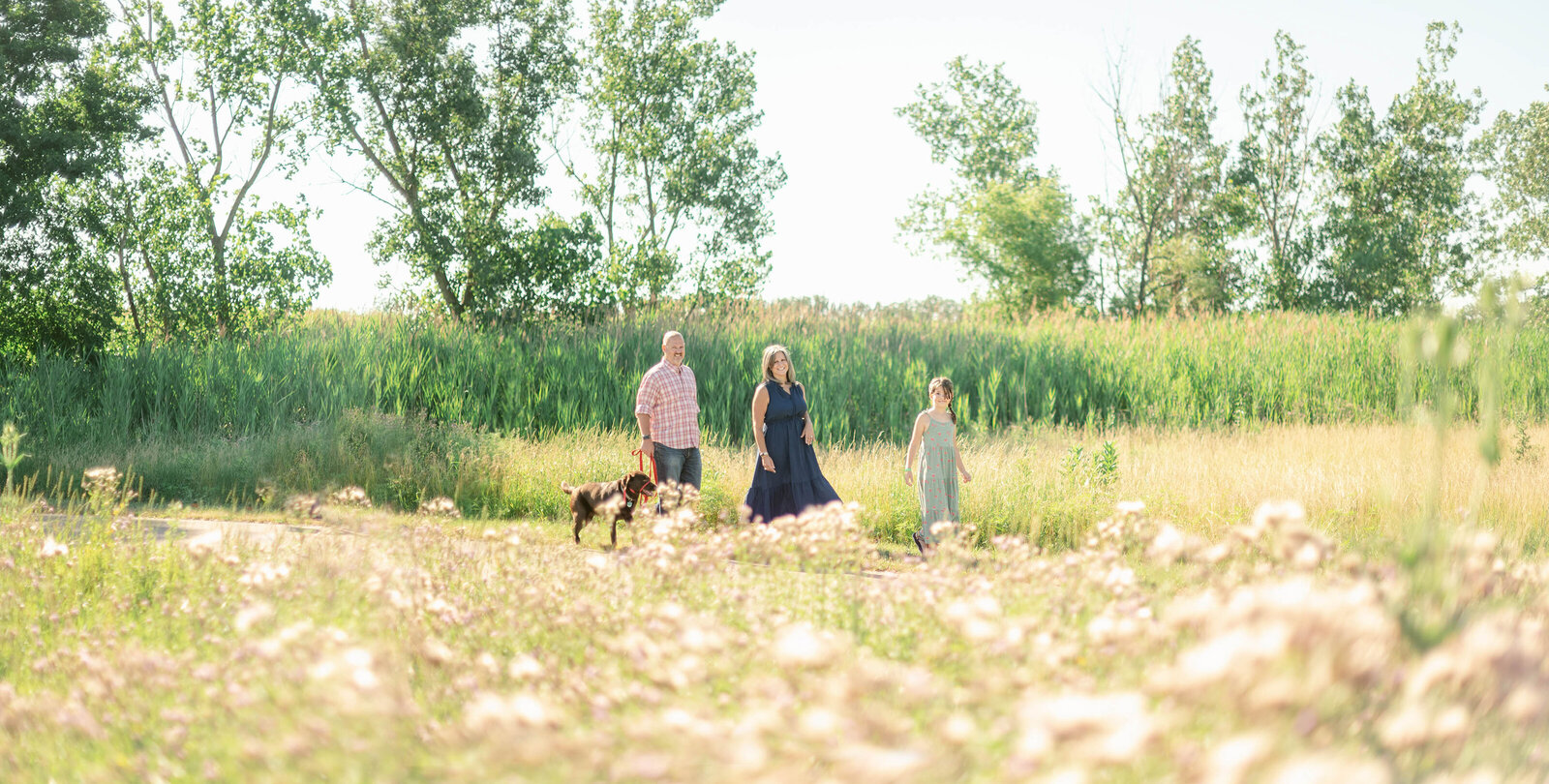 Chicago family photo with dog in a meadow in the summer