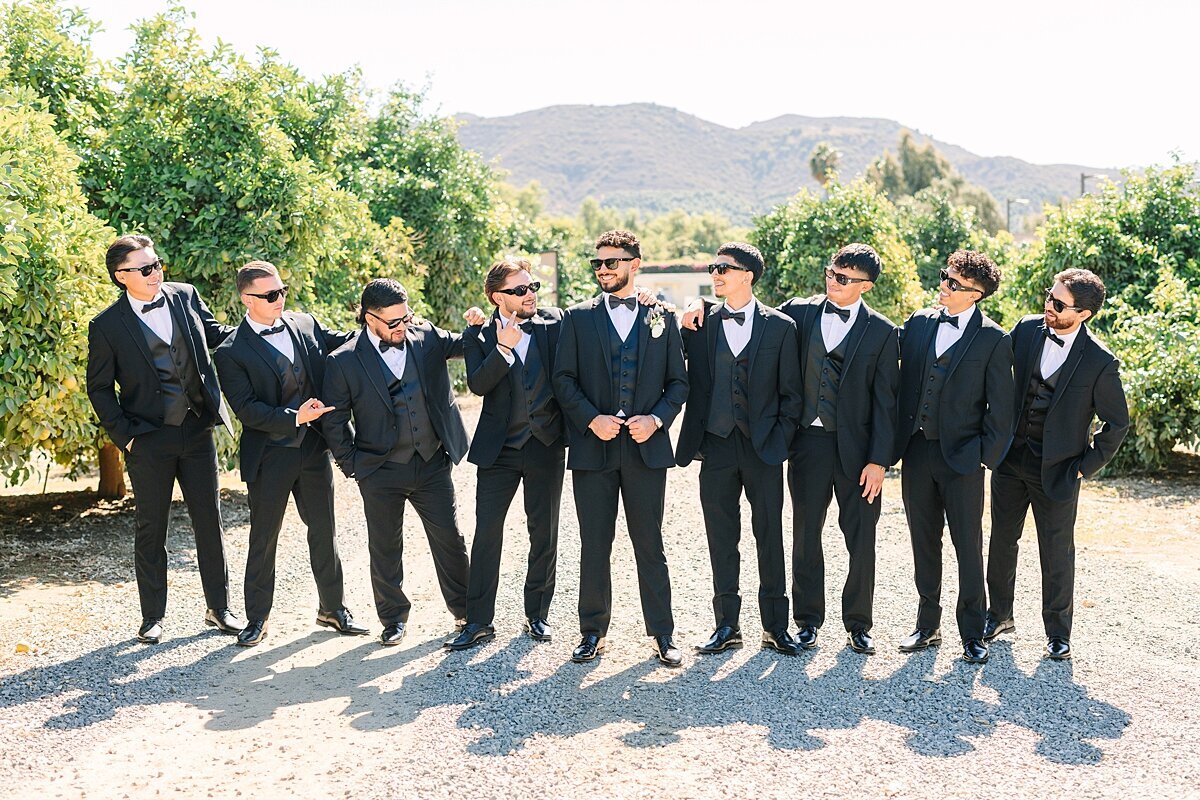 Groom and groomsmen laughing together in the vineyard at Rancho Guejito.