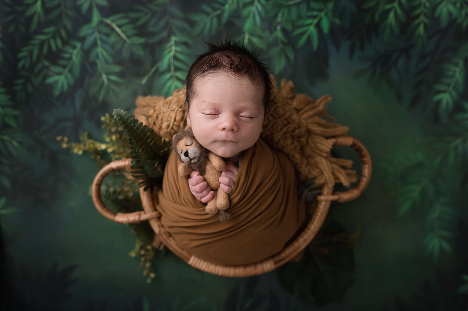 Jacksonville_Newborn_Photographer_Jen_Sabatini_52