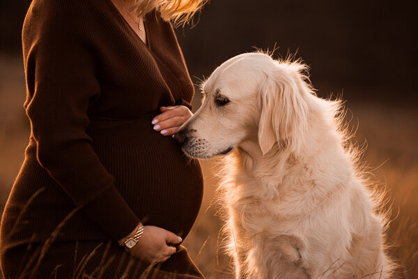Een aanstaande moeder en haar partner poseren liefdevol met hun hond tijdens een zwangerschapsshoot, een intiem moment vol warmte en verwachting