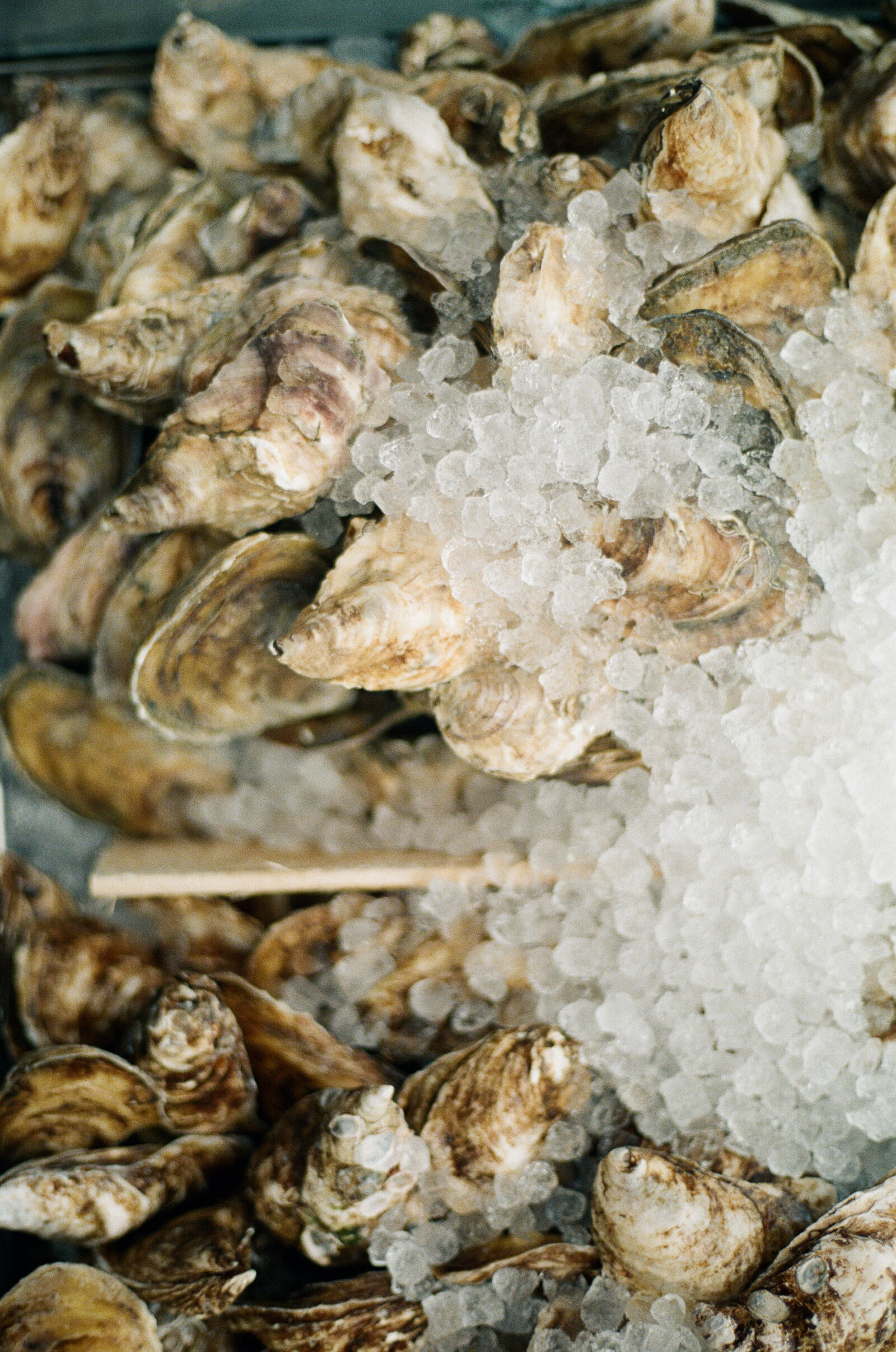 Delaware Restaurant Photography, Lewes Oyster House_139777