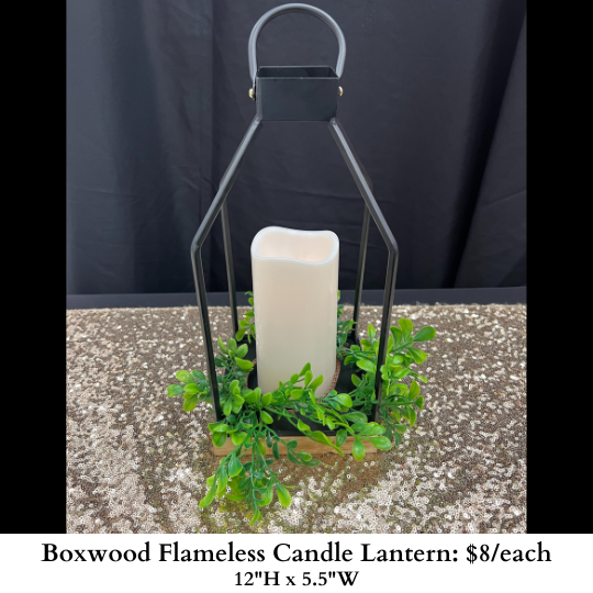 Boxwood Flameless Candle Lantern-938