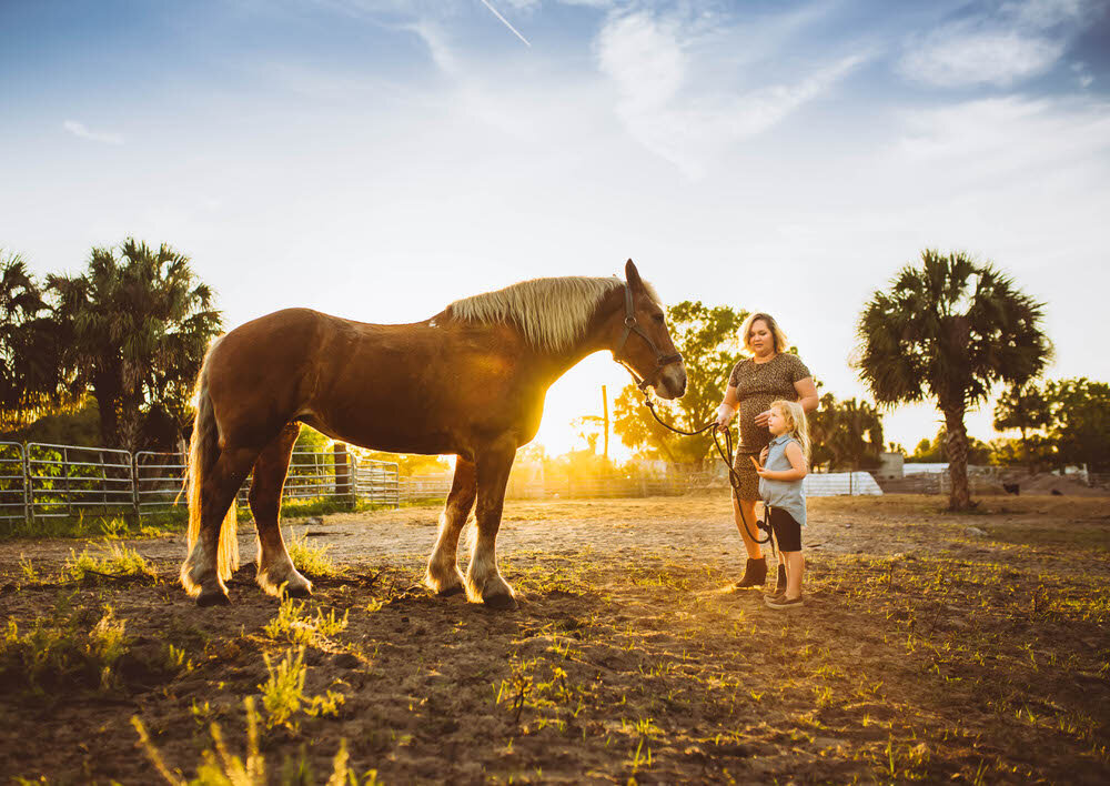 equestrian-family-photos