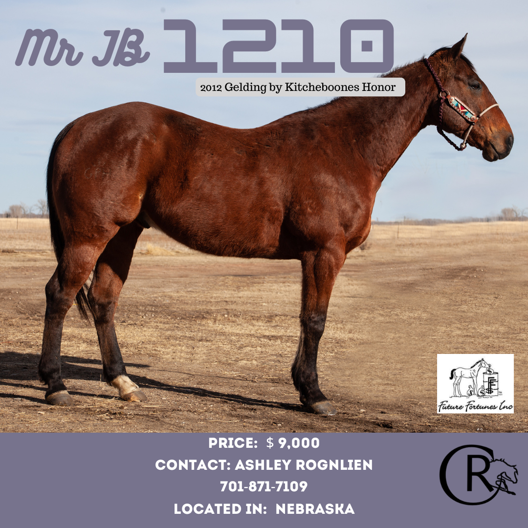 Mr JB 1210