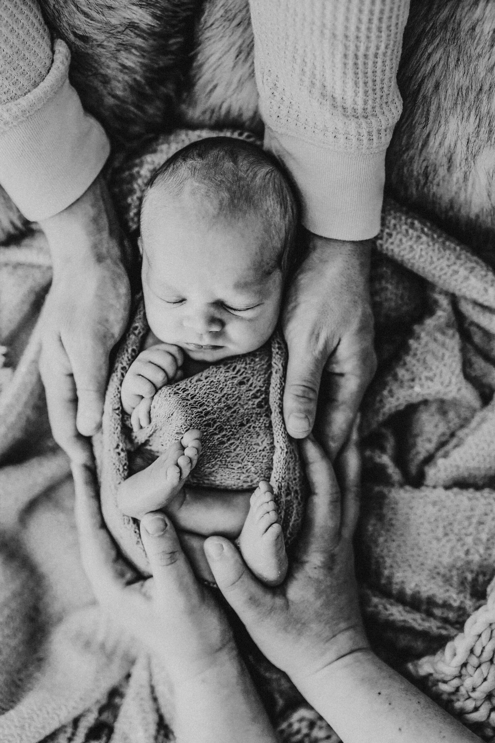 Newborn baby laying on a bed with parents hands laid on him