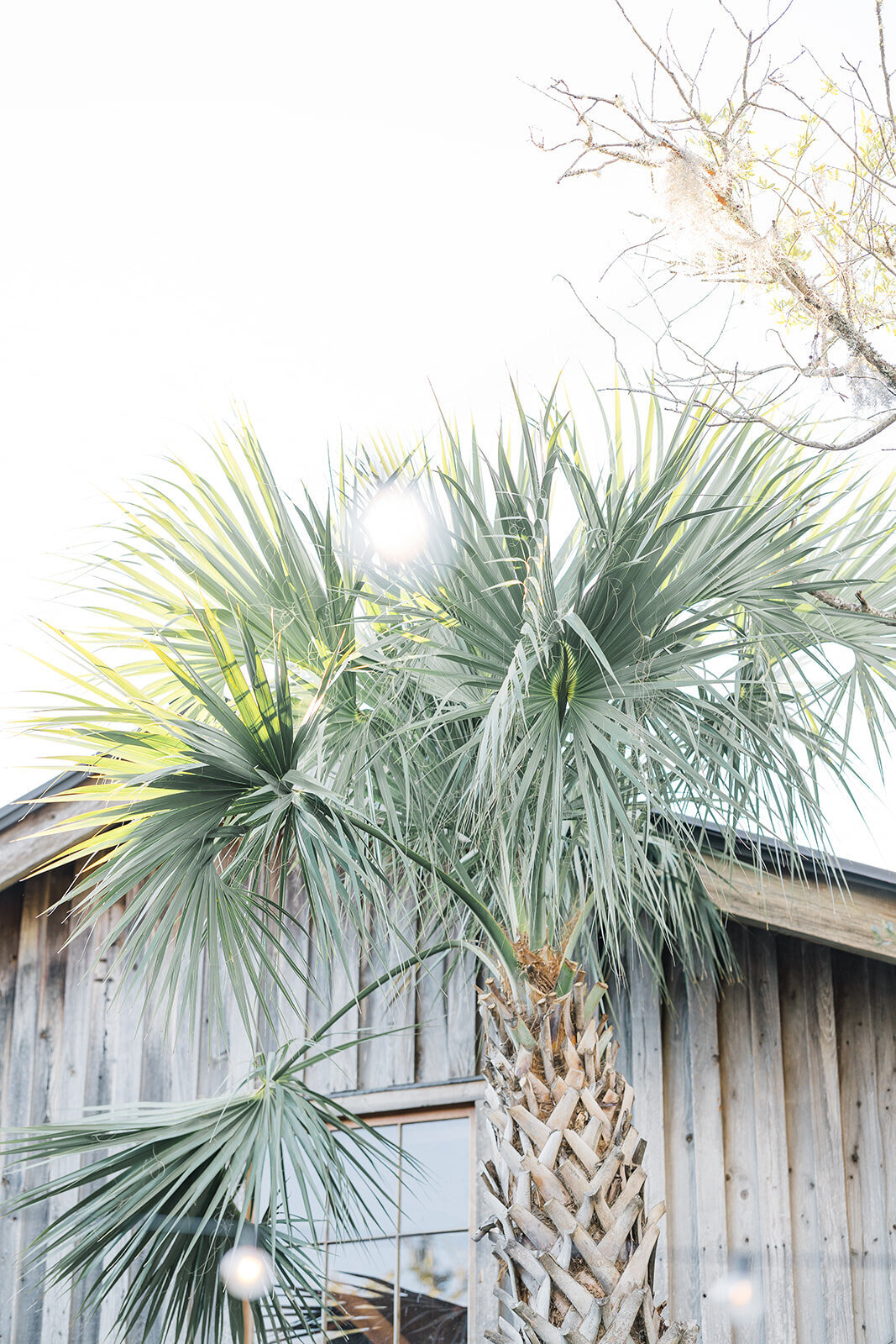 Boone Hall-6866