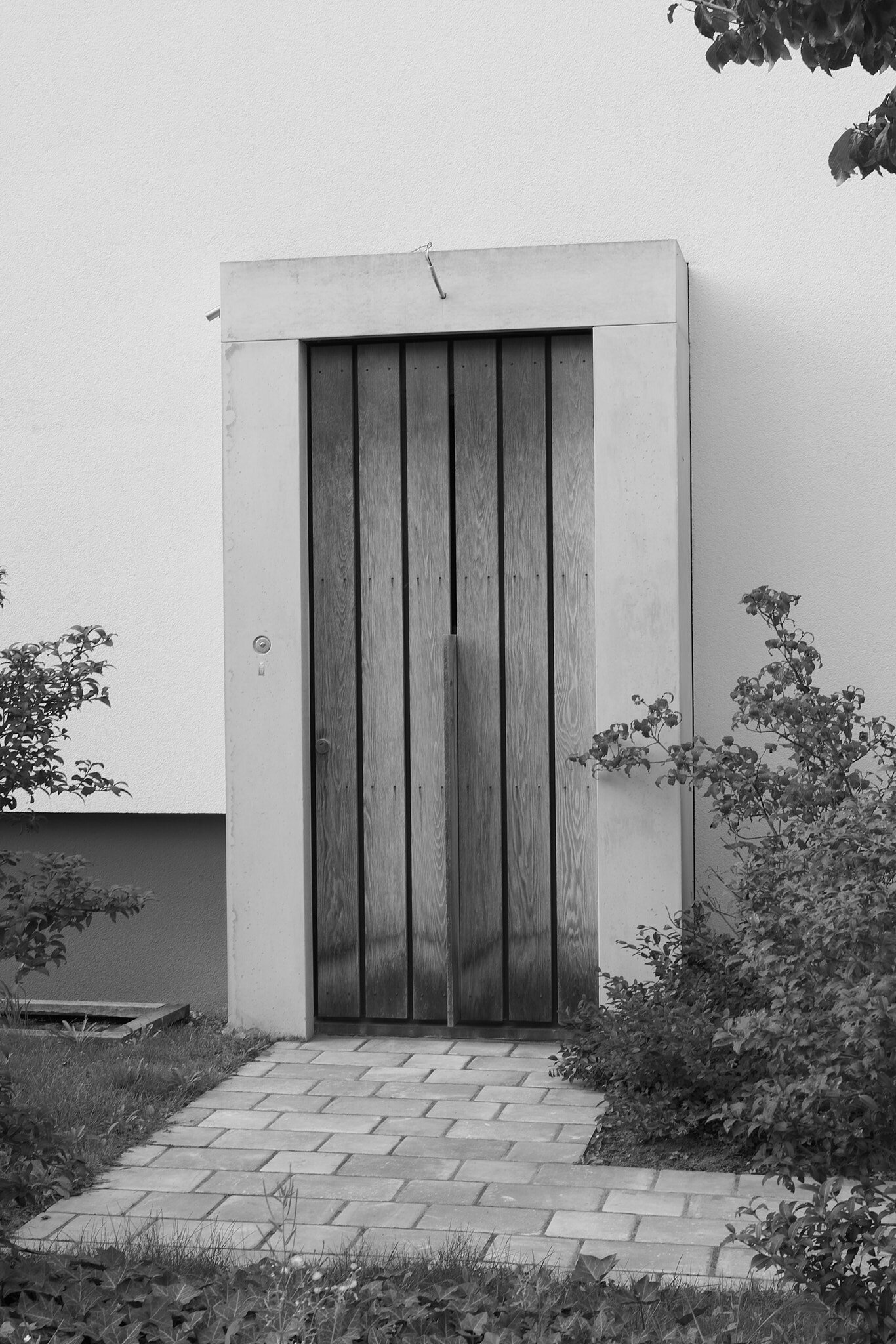 DSC_9485