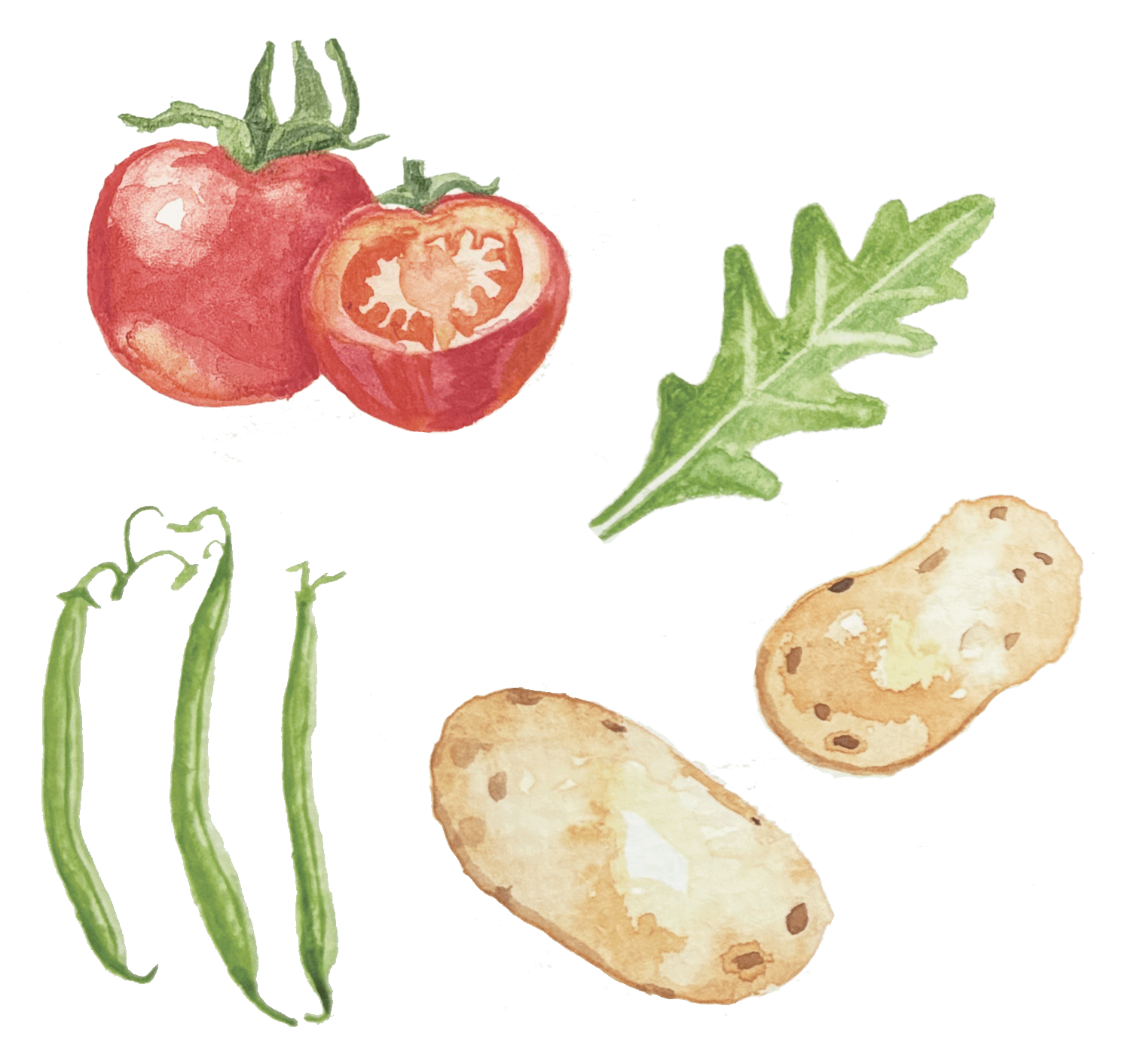 watercolor-vegetables-wedding-menu