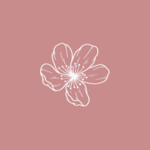 rose & camomille © l'herbier graphique1