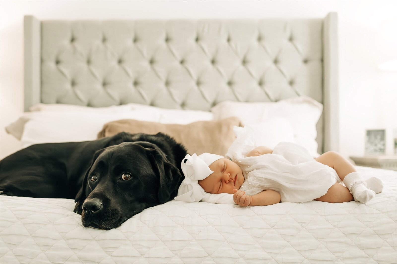 DCG_8333-Enhanced-NR