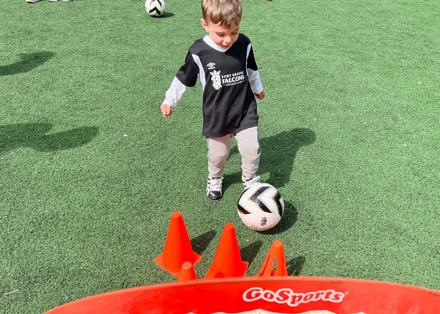 Fort Greene Falcons Soccer Club in Brooklyn NY