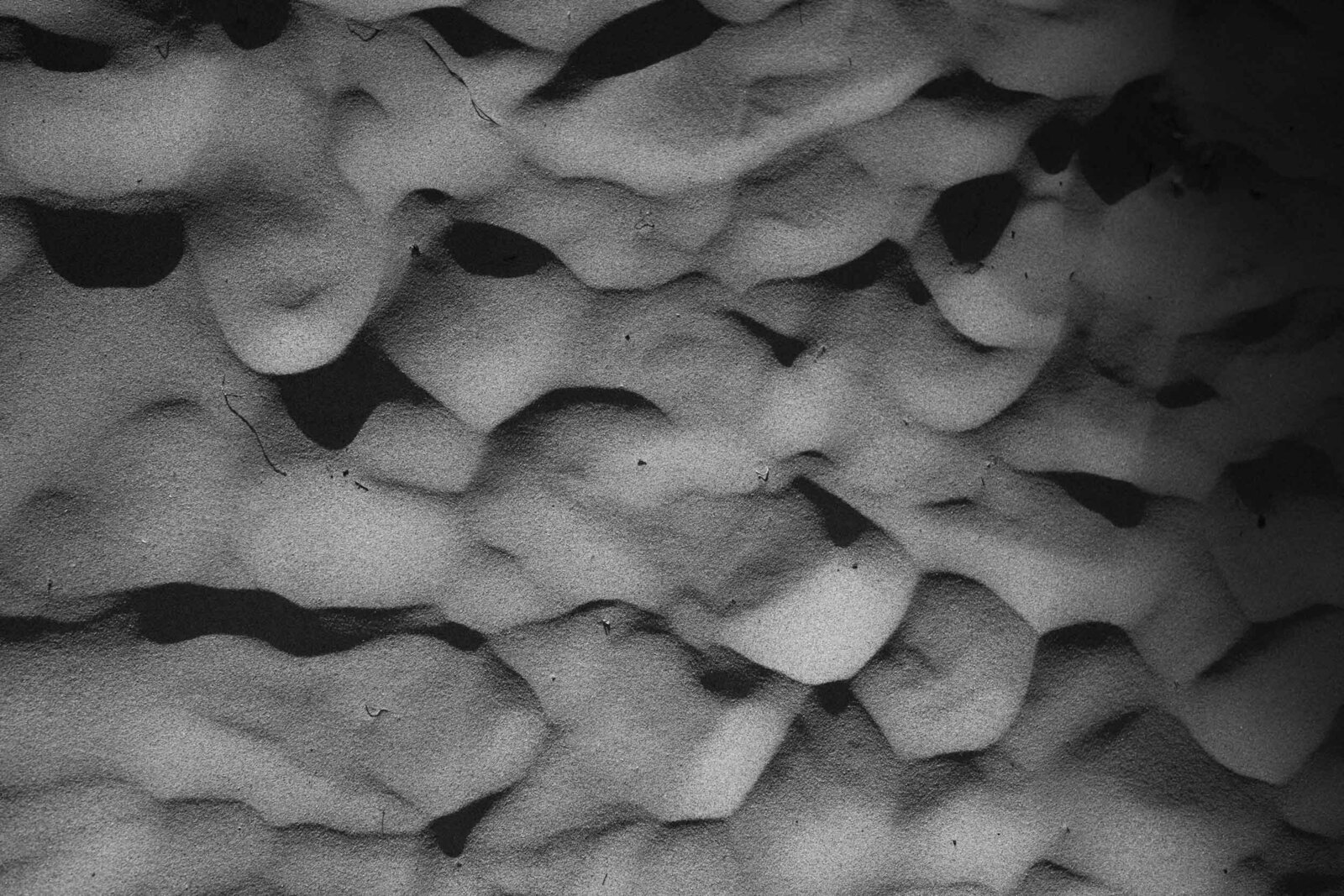 casa-colonial-hotel-dominican-republic-wedding-asia-pimentel-photography-s+t-79