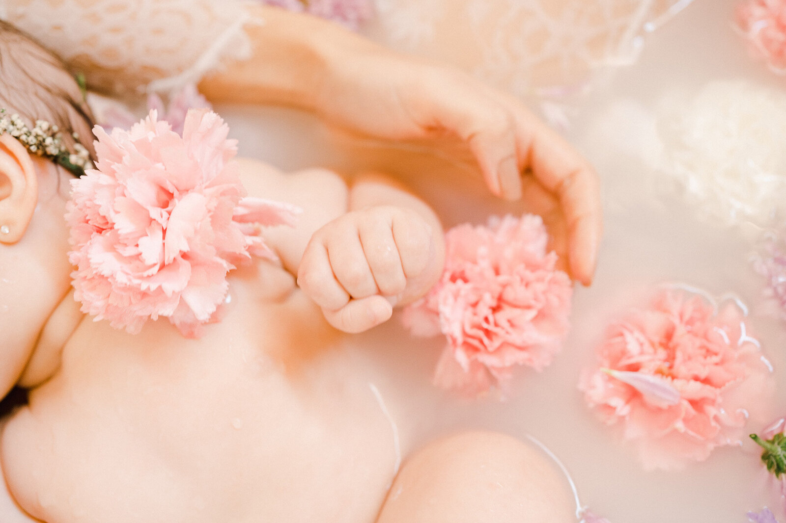 0145_carolina_pedrosa_fotografia_em_holambra