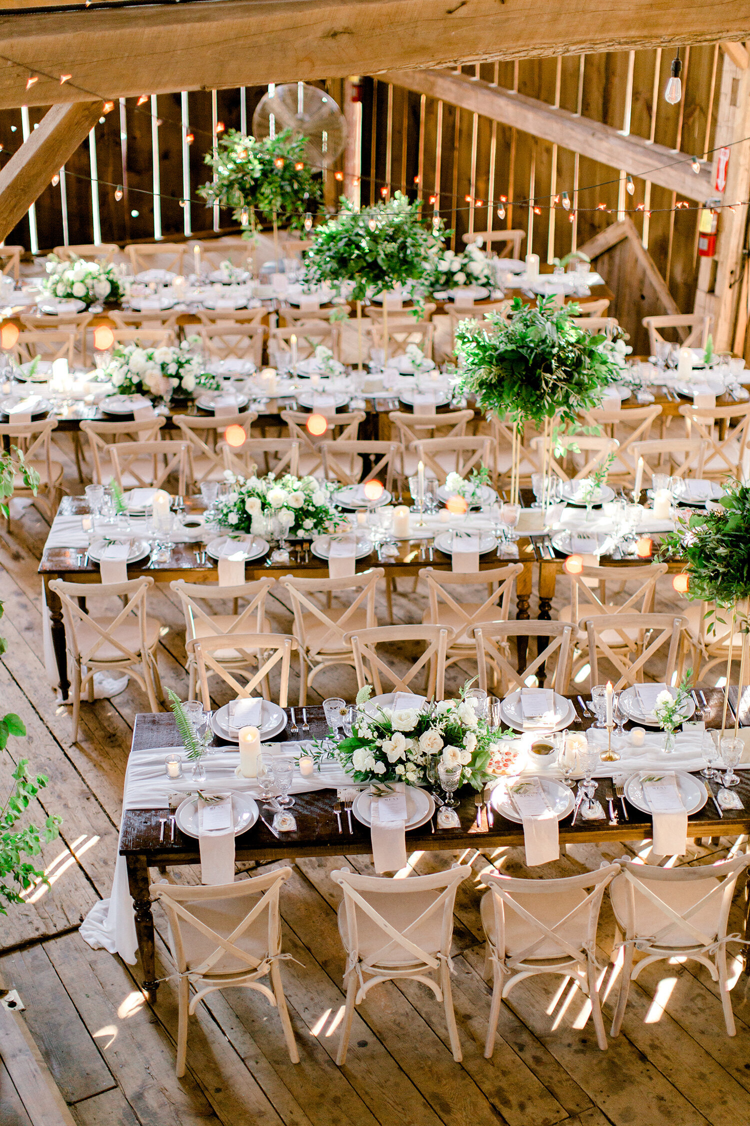 Cambium Farms Forever Wildfield Wedluxe Richelle Hunter 4