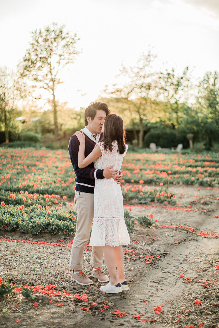 marriage-proposal-tulip-field-110